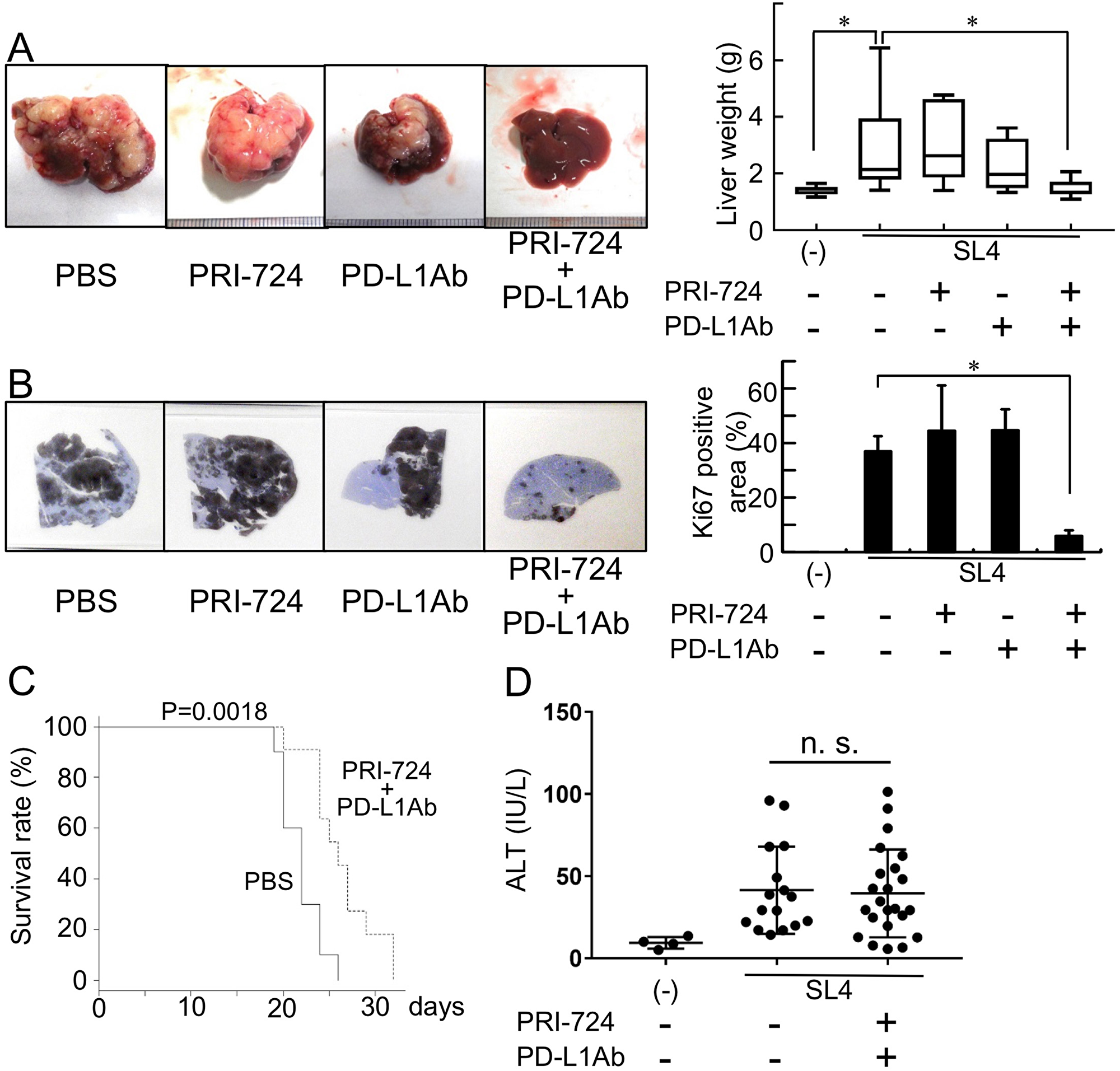 Anti-PD-L1 antibody (Ab) with a CBP/β-catenin inhibitor decreases metastatic tumor growth in the liver.