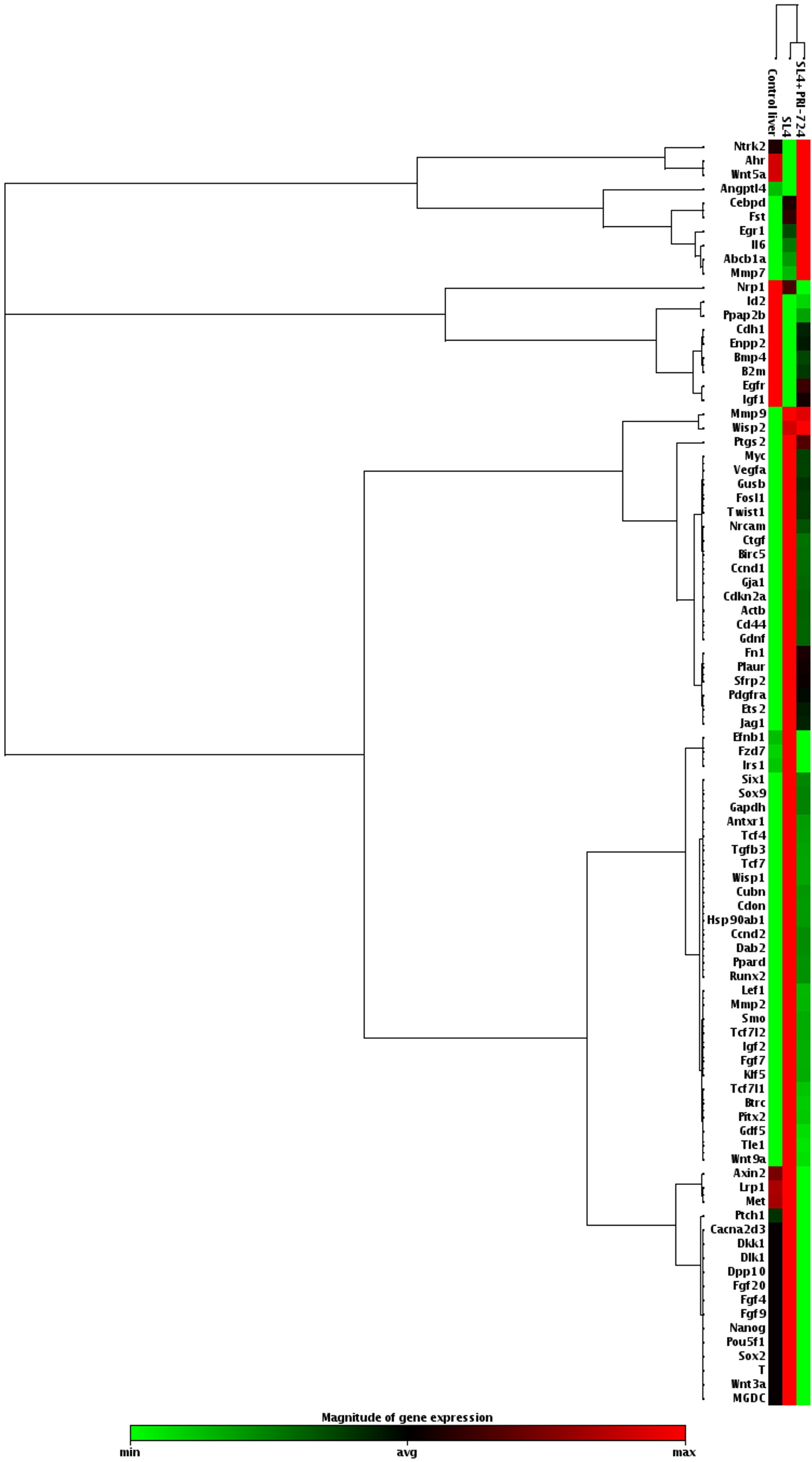 PRI-724 treatment decreased the mRNA expression of β-catenin target genes in the livers of mice inoculated with SL4 cells.