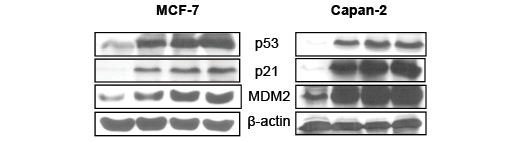 Figure4.pdf