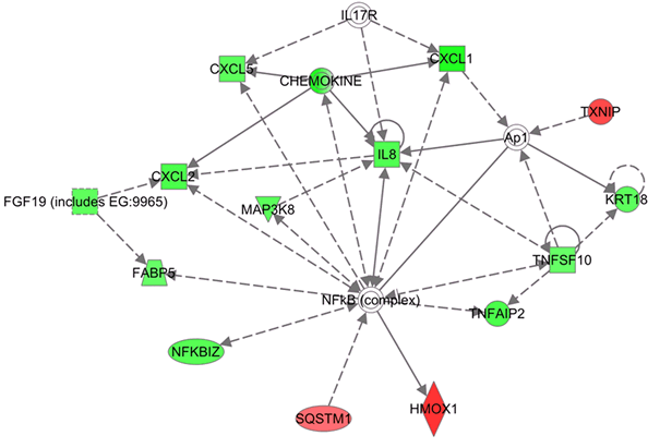 Figure7a.gif