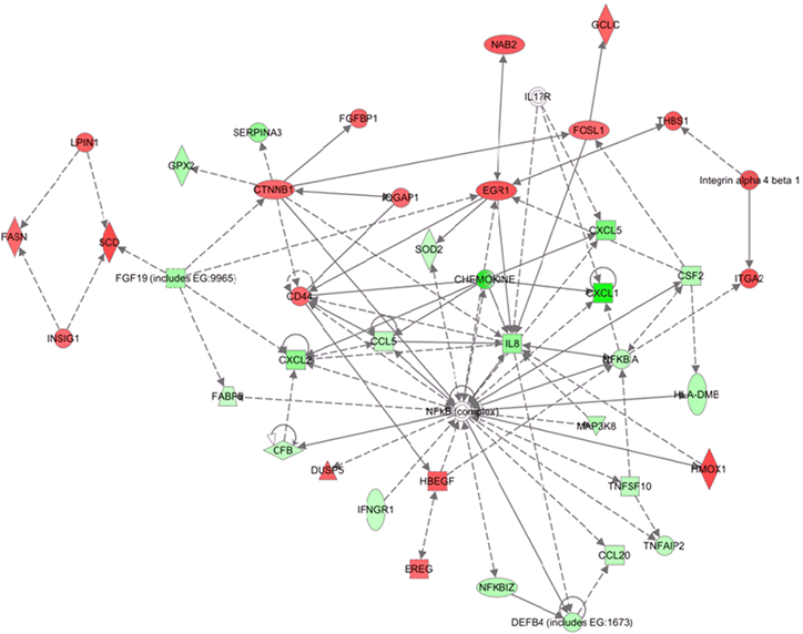 FIgure7B.gif