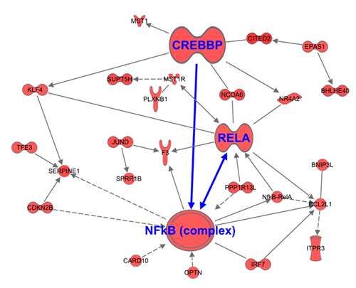 Figure9.gif