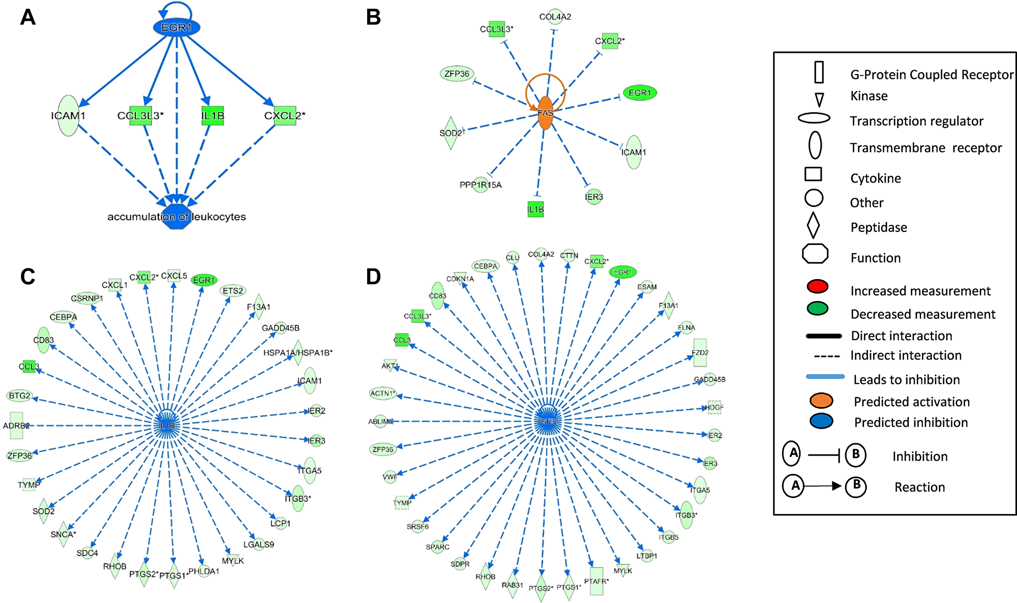 Upstream regulators affected by ECP enriched in differentially expressed genes (DEG) in RM1.
