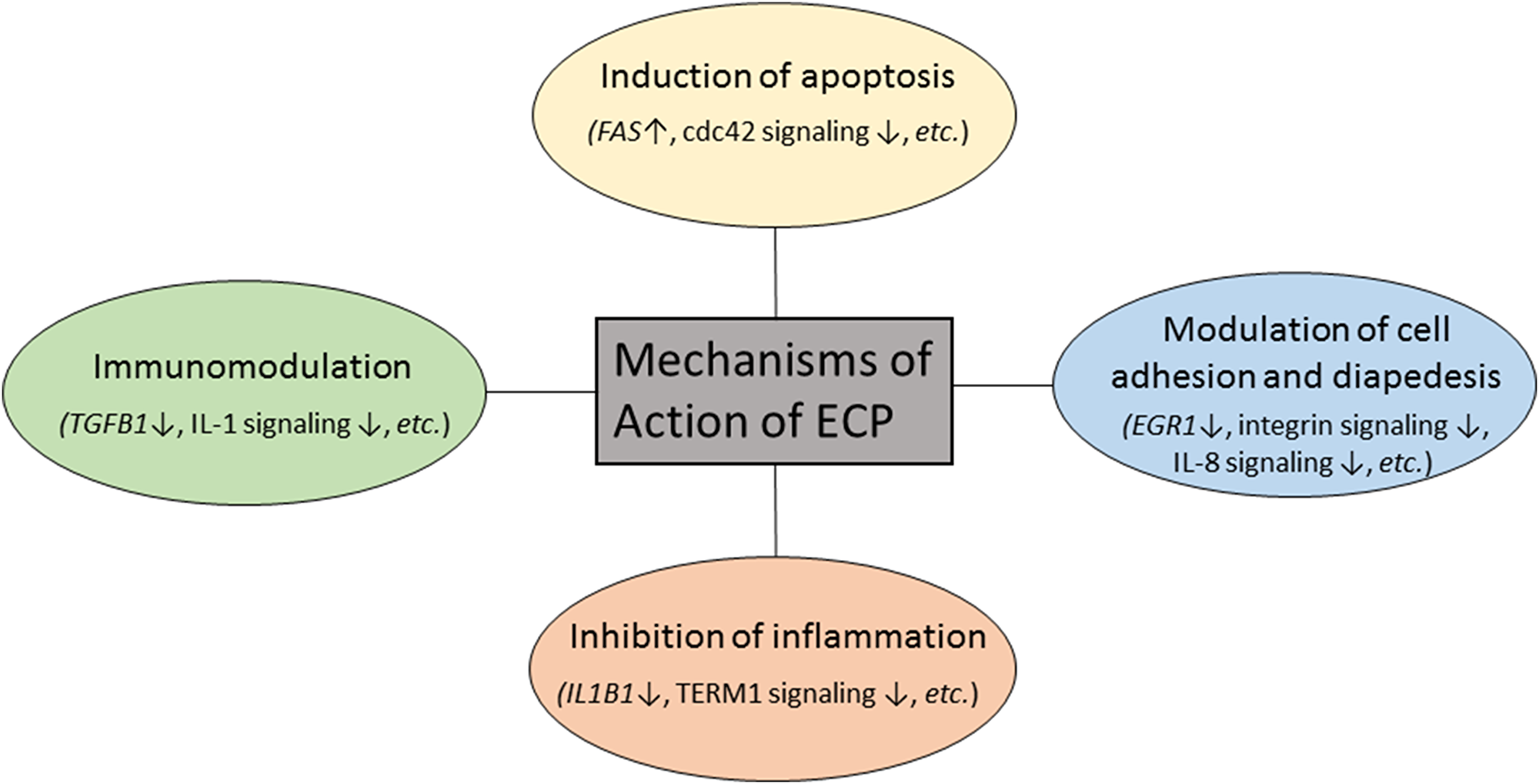 Proposed mechanisms of action of extracorporeal photopheresis in patients with L-CTCL.