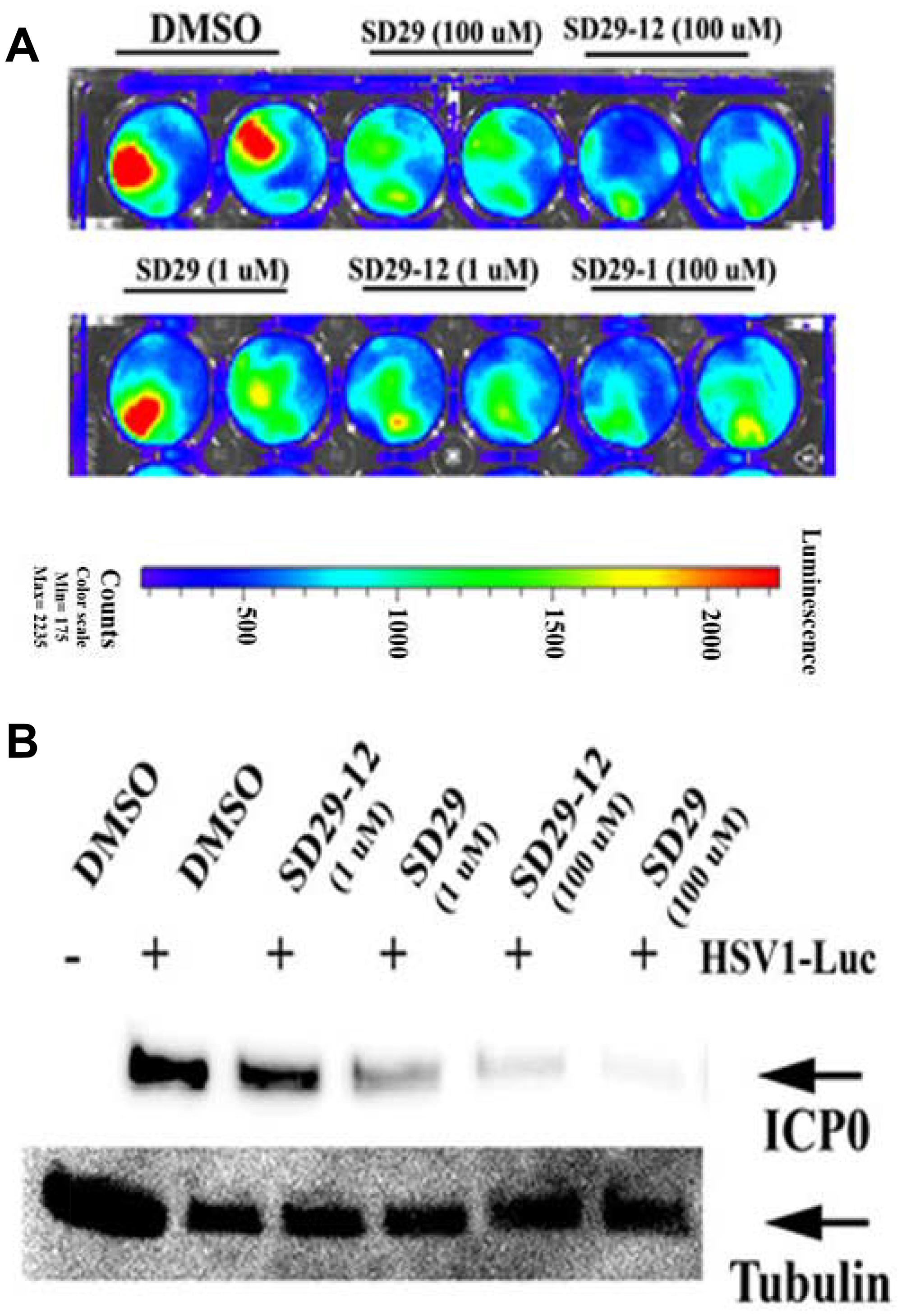 Co-treatment of drugs with virus increases efficacy.