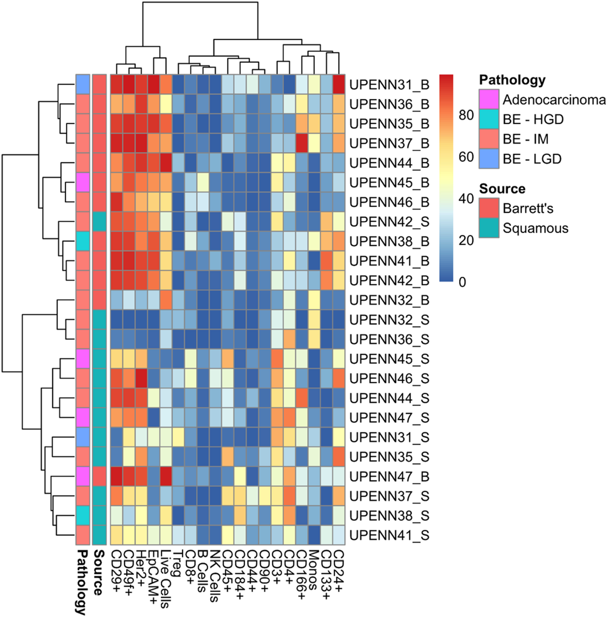 Heatmap with distance trees displaying clusters of individual samples using surface markers or cell types.