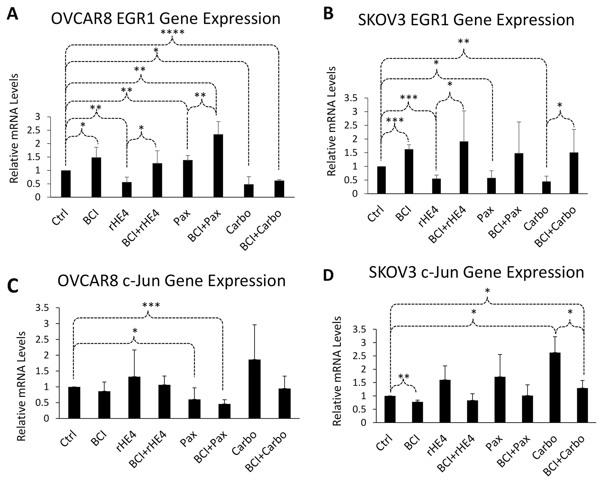 DUSP6 inhibition alters expression of ERK pathway responsive genes.