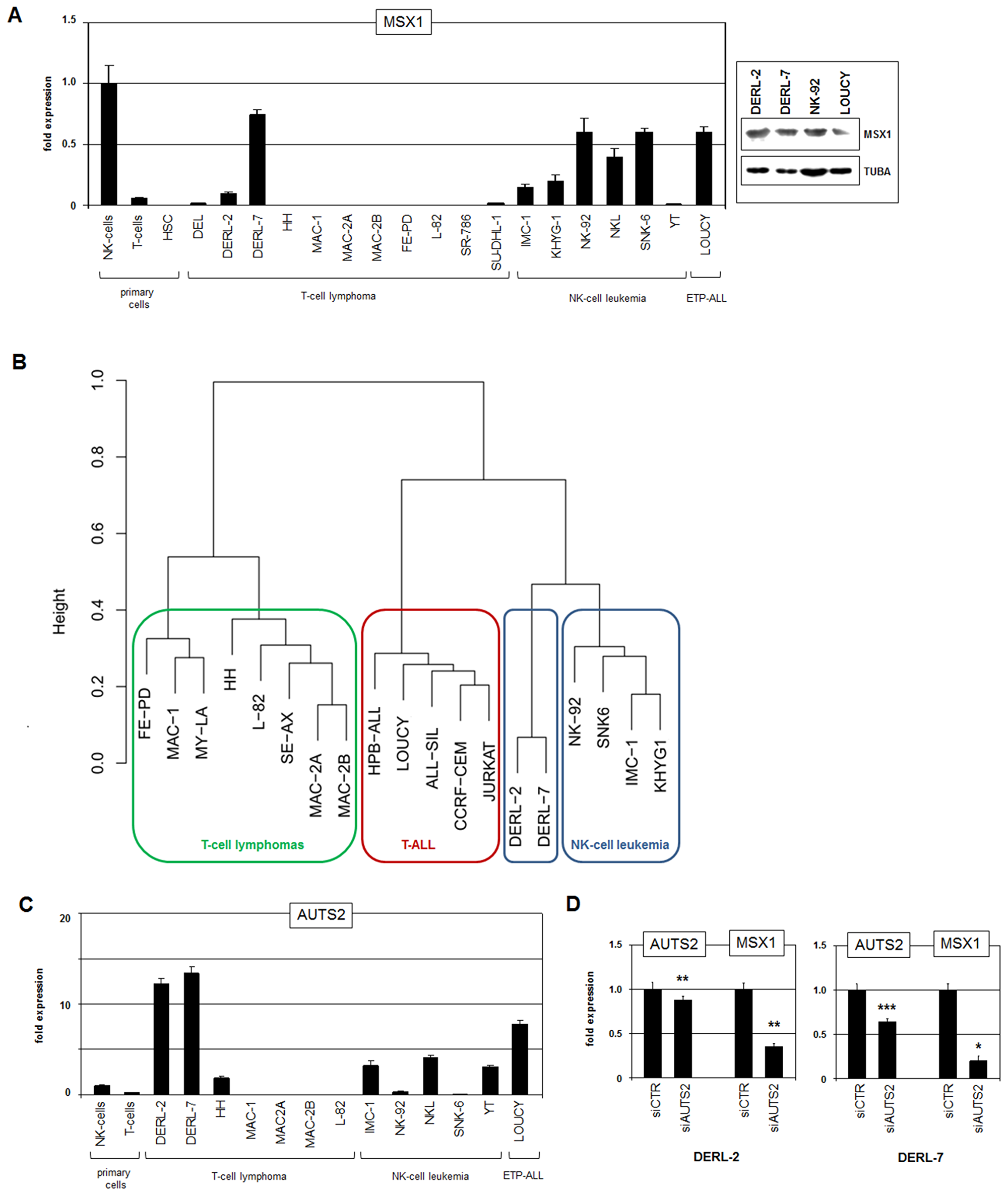 Gene expression analyses.