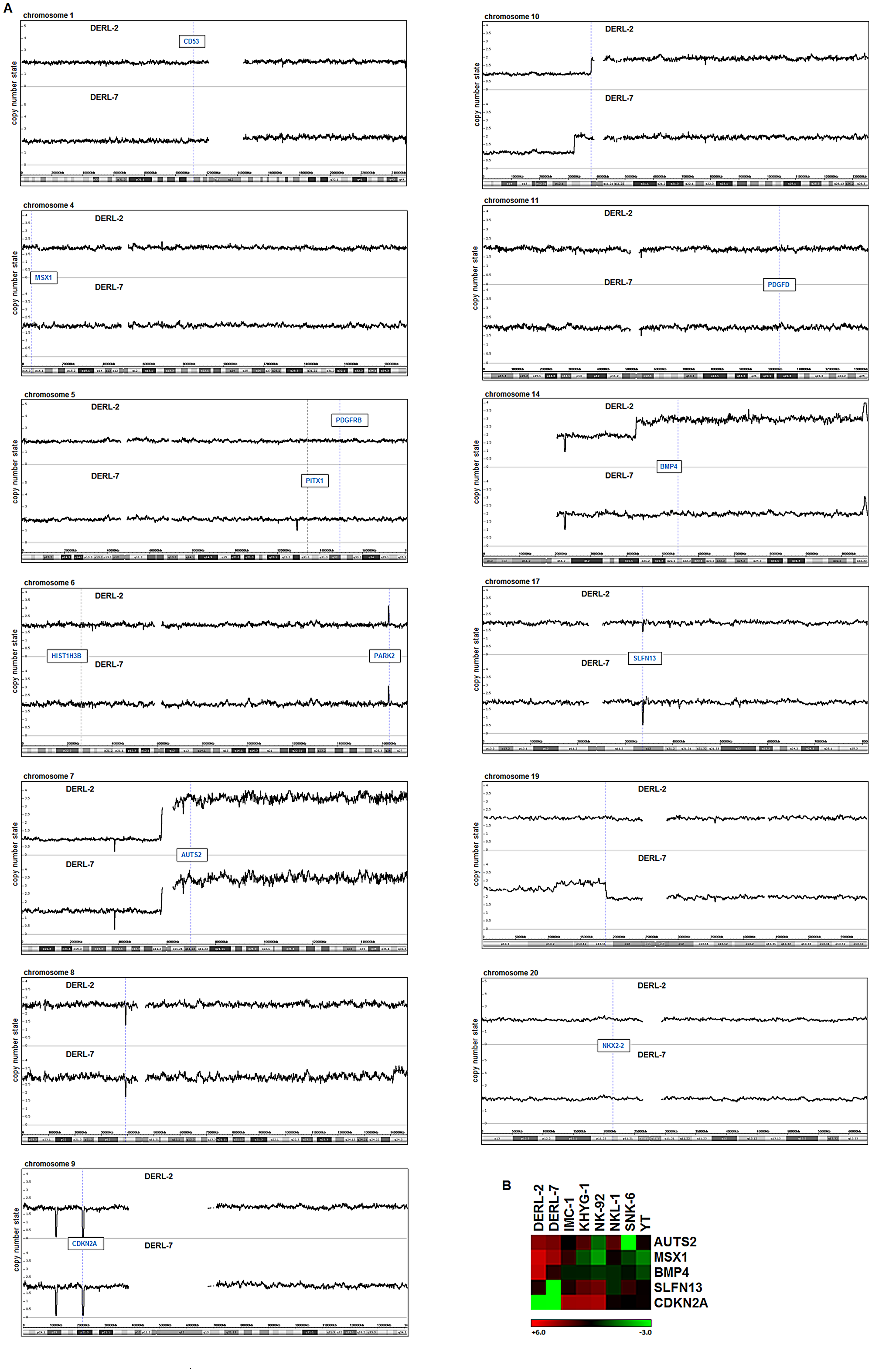 Genomic profiling of DERL-2 and DERL-7.
