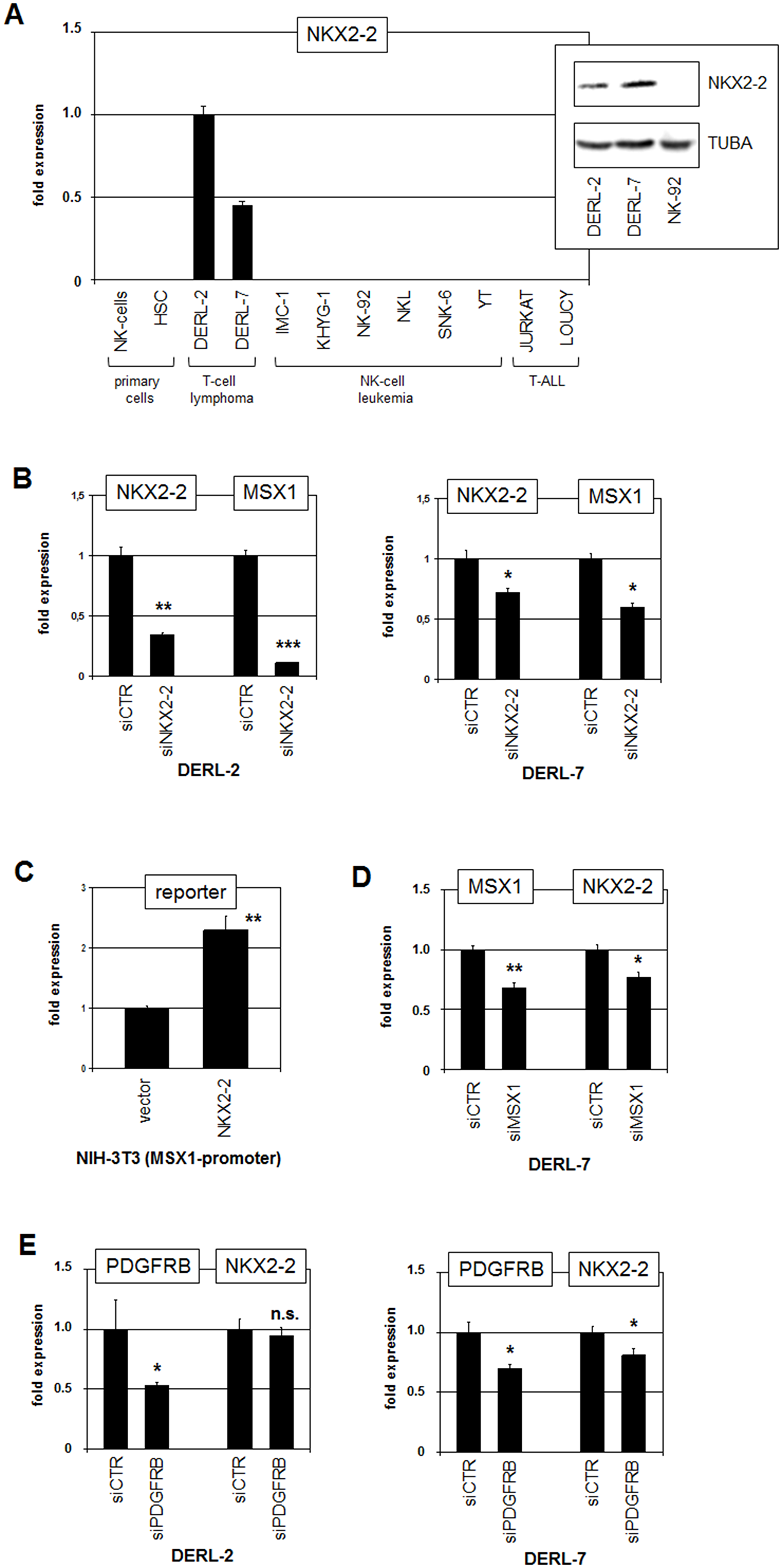 Analysis of NKX2-2.