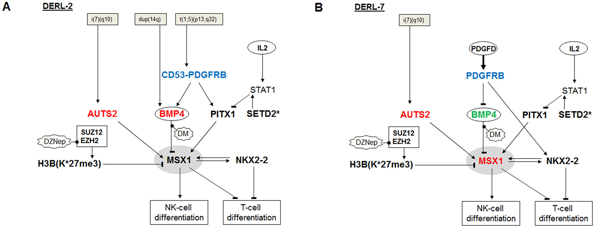 Aberrant gene regulatory networks in HSTL cell lines.