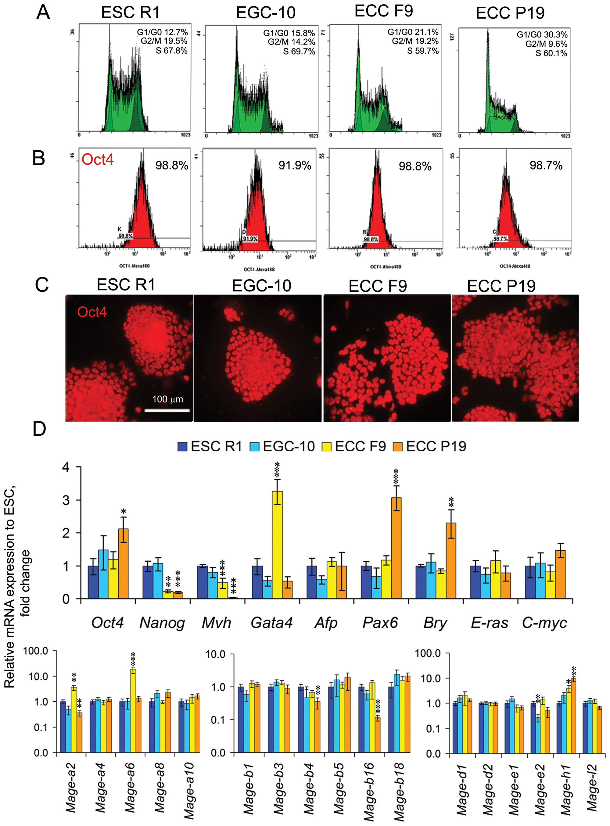 Characteristics and marker and Mage family gene expression patterns in undifferentiated ESCs, EGCs and ECCs.