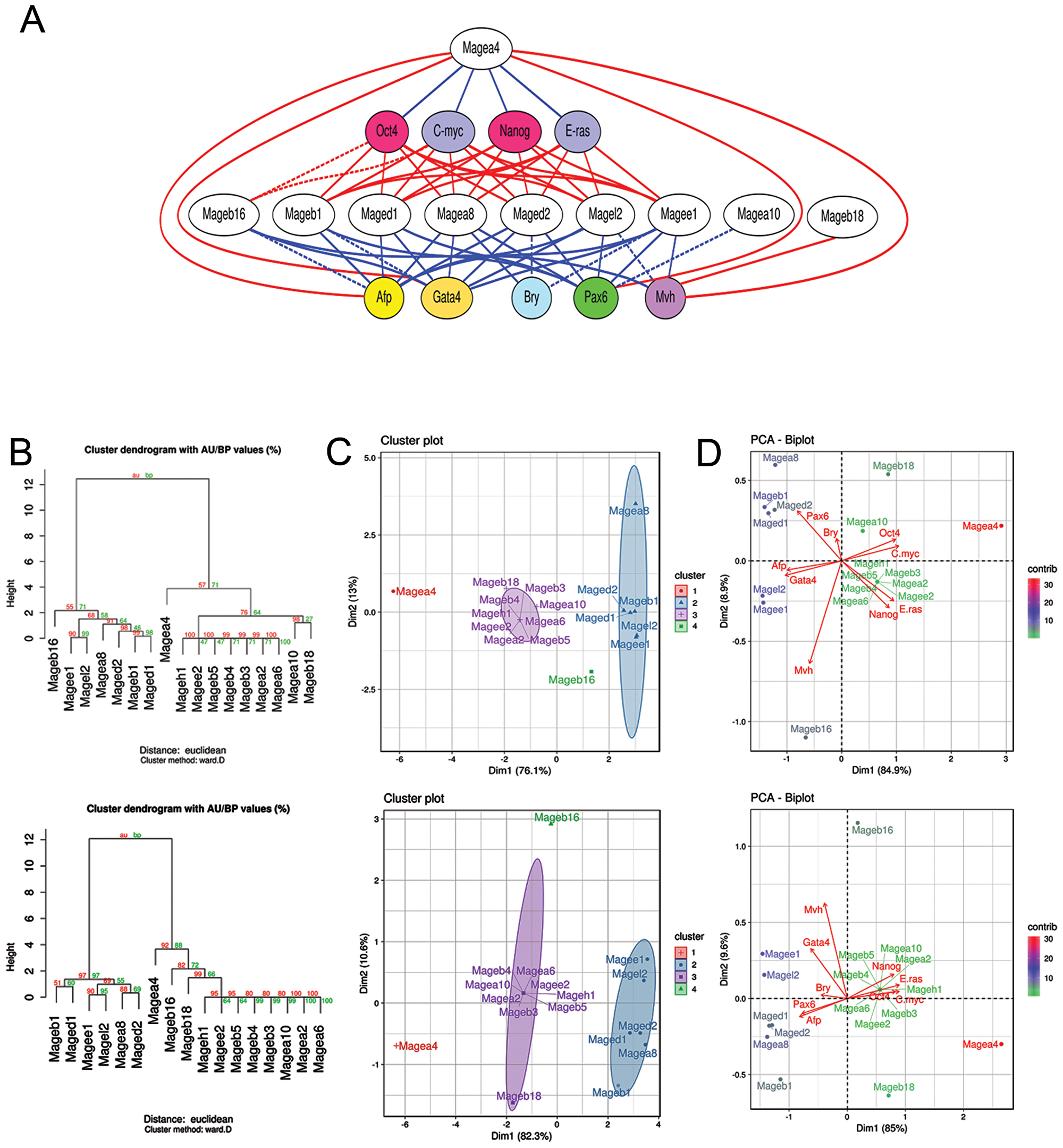 Mage family contributions in the self-renewal and differentiation of ESCs, EGCs, ECCs and E7.5 embryos.