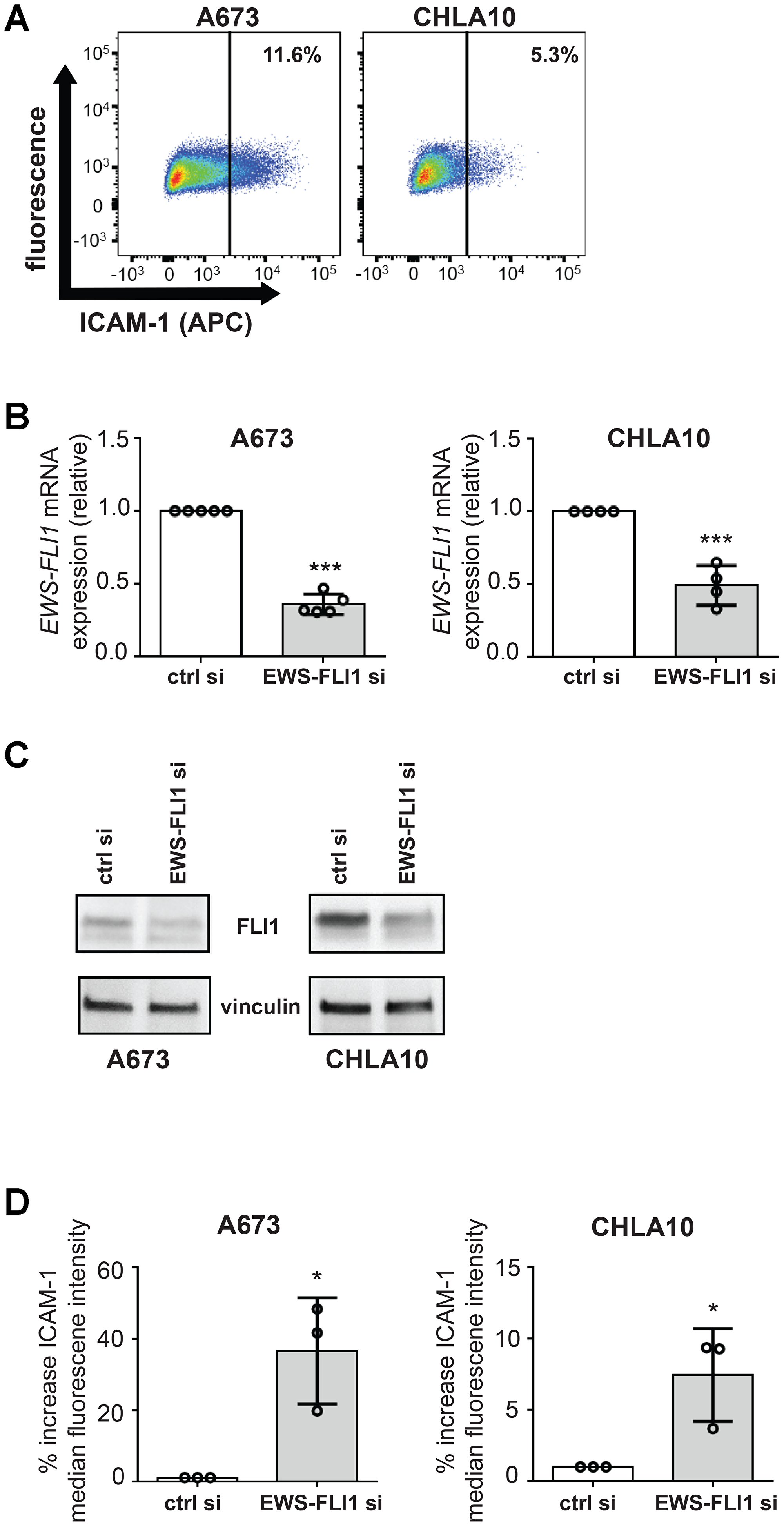 EWS-FLI1 and ICAM-1 expression are inversely correlated under basal conditions in our model system.
