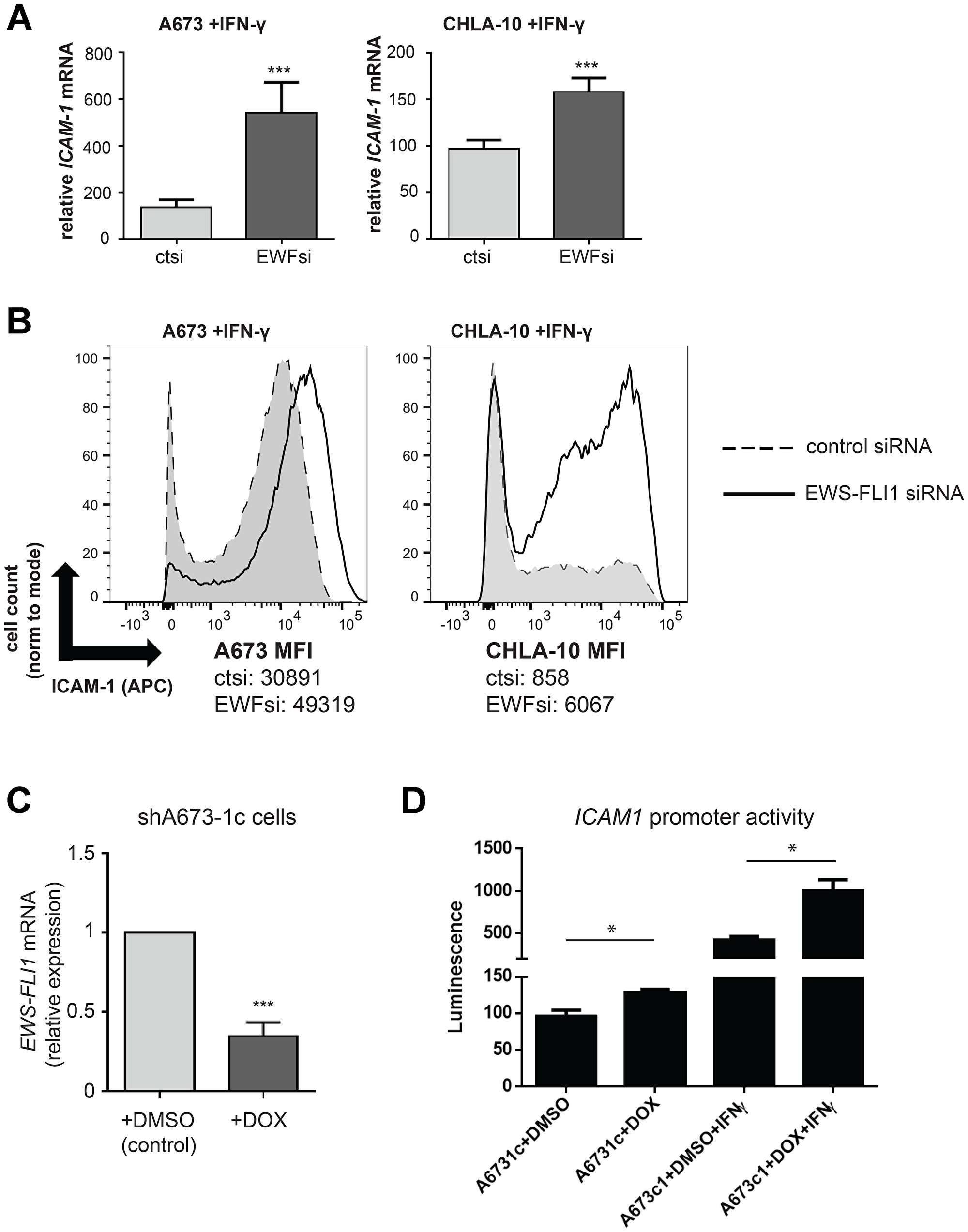 IFN-γ induced ICAM-1 expression is significantly enhanced in EWS-FLI1 ‘low’ Ewing cells.