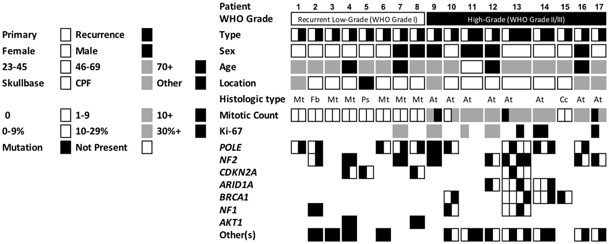 Demographics, tumor features, and mutation status of the cohort of 17 patients with matched targeted sequenced primary and recurrent meningioma.