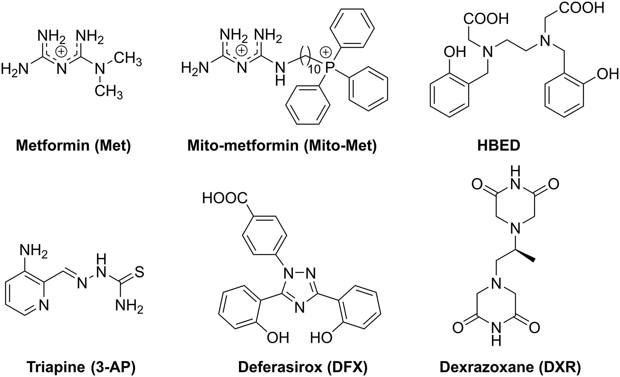 Chemical structures of iron chelators, Met, and Mito-Met used in this study.