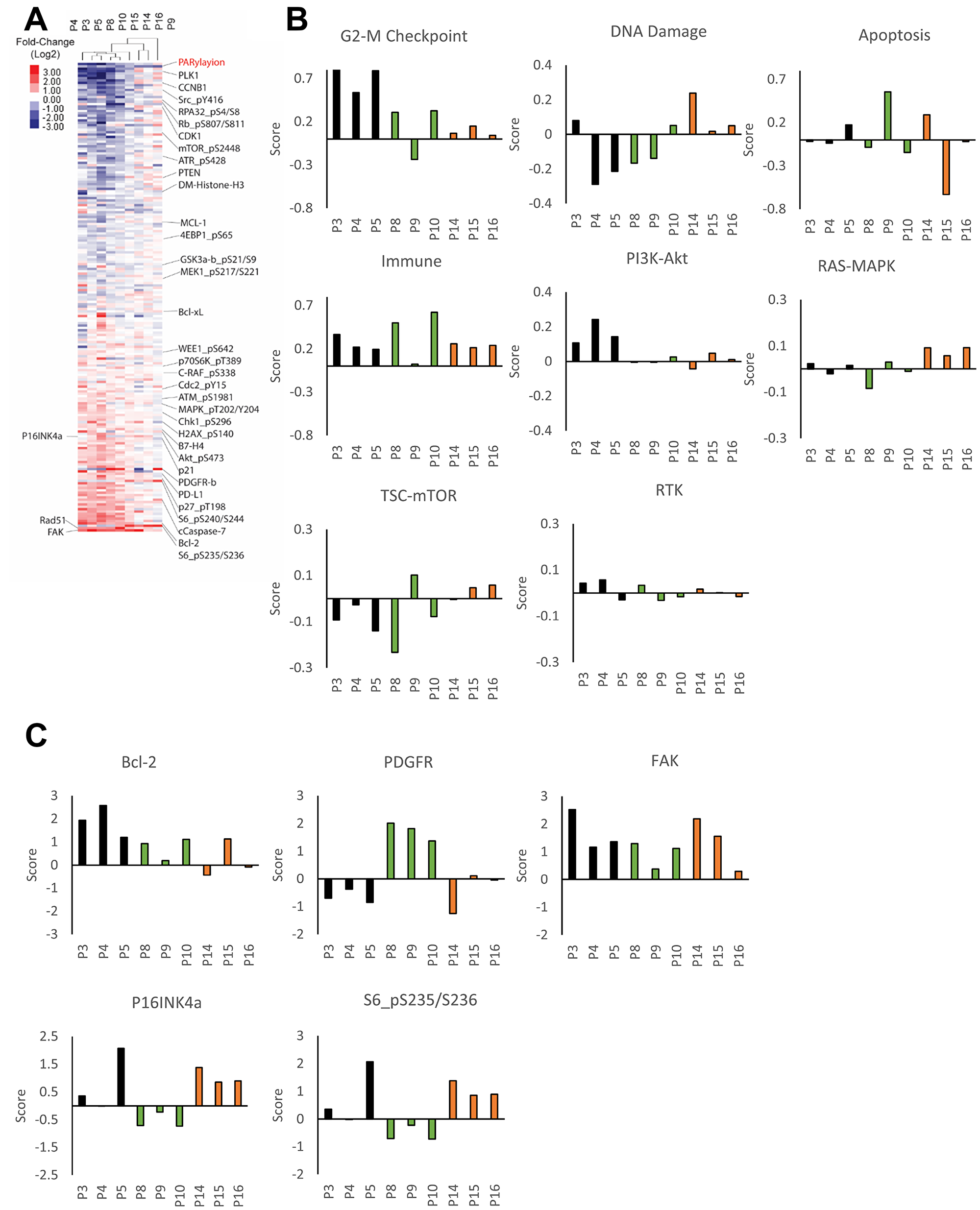 Patient-specific adaptive response to PARP inhibitor.