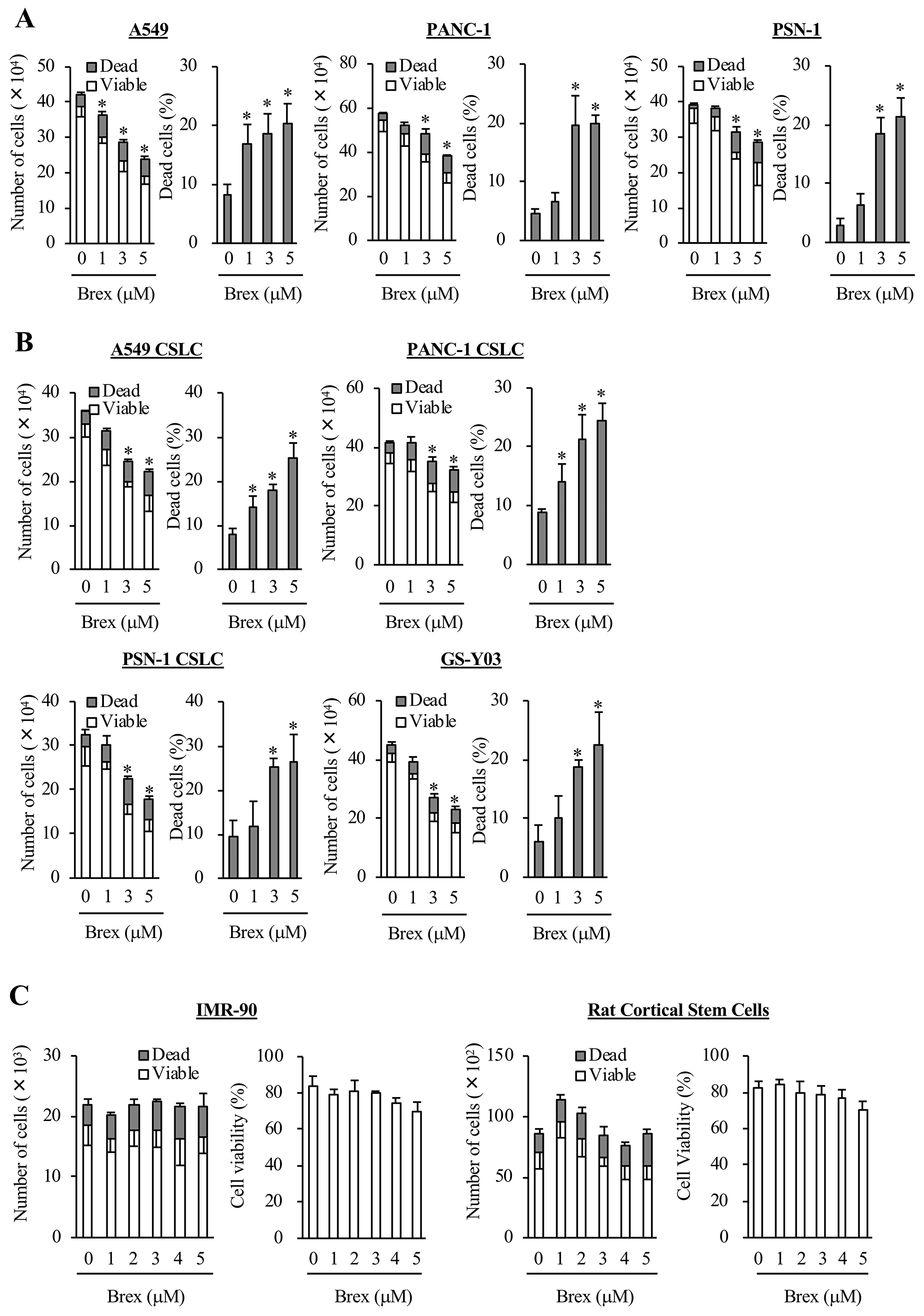 Brexpiprazole suppresses the growth of cancer cells and cancer stem cells, and induces cell death without marked toxicity to normal cells.
