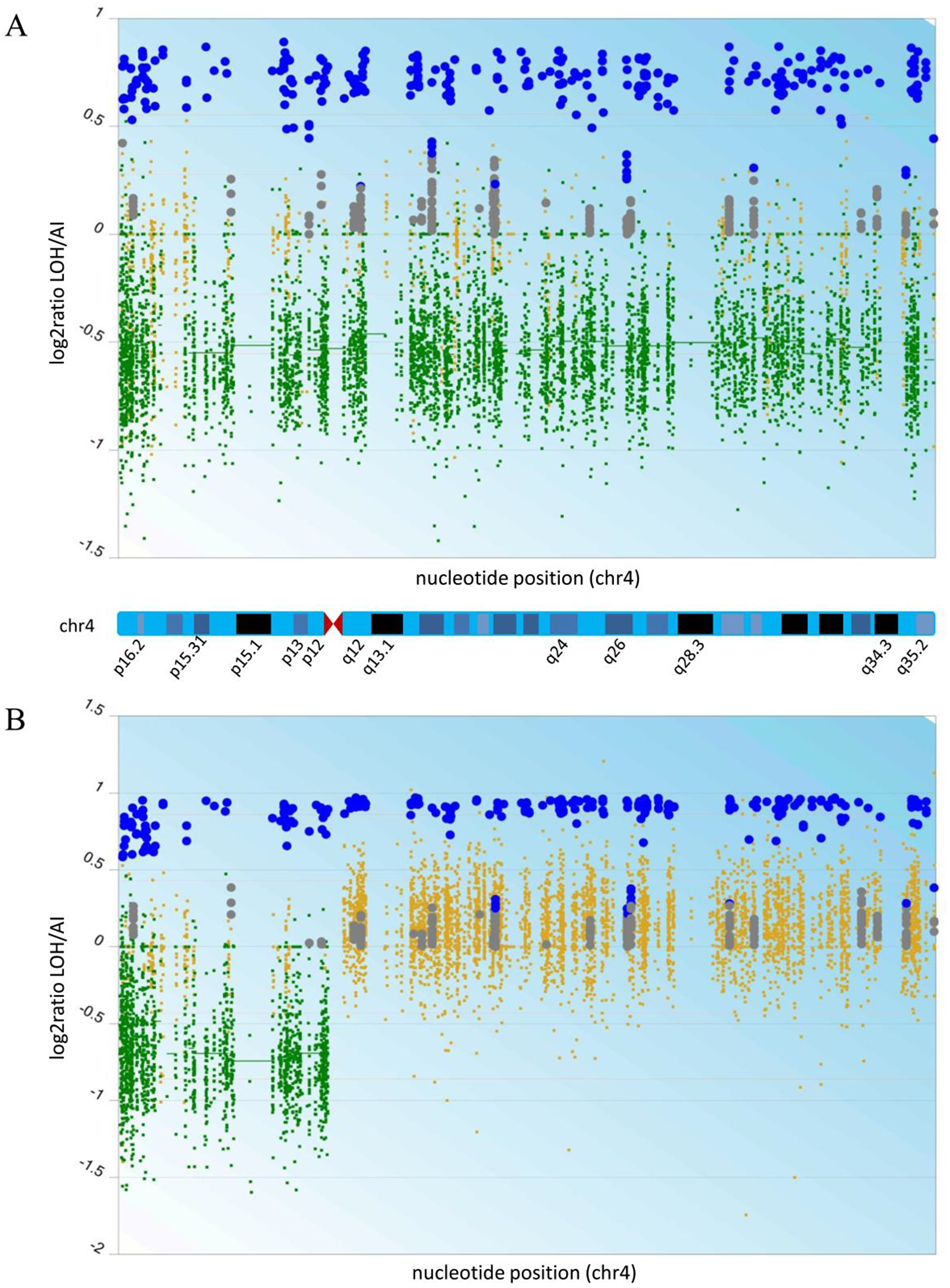 Deletion of chromosome 4 in recurrent O2010 (A) and copy neutral LOH 4q in xenograft1 (B). LOH and CNV analysis was performed using the CEQer software [21] on the whole exome sequencing data from both tumors and data from patient blood as the control. Shown is the Log2 ratio of LOH/AI data according to the formula: ratio = MaxCovAllele / (CovAllele1 + CovAllele2), whereas MaxCovAllele is the allele with the highest coverage. Small green dots indicate copy loss of CNV exons, and horizontal green bars highlight individual copy loss of CNV regions. Small yellow dots show copy neutral regions. Big blue circles indicate either a loss of heterozygosity (-1 copy loss), an allelic imbalance (copy gain) or a copy neutral imbalance. Big grey circles indicate a conserved heterozygosity.