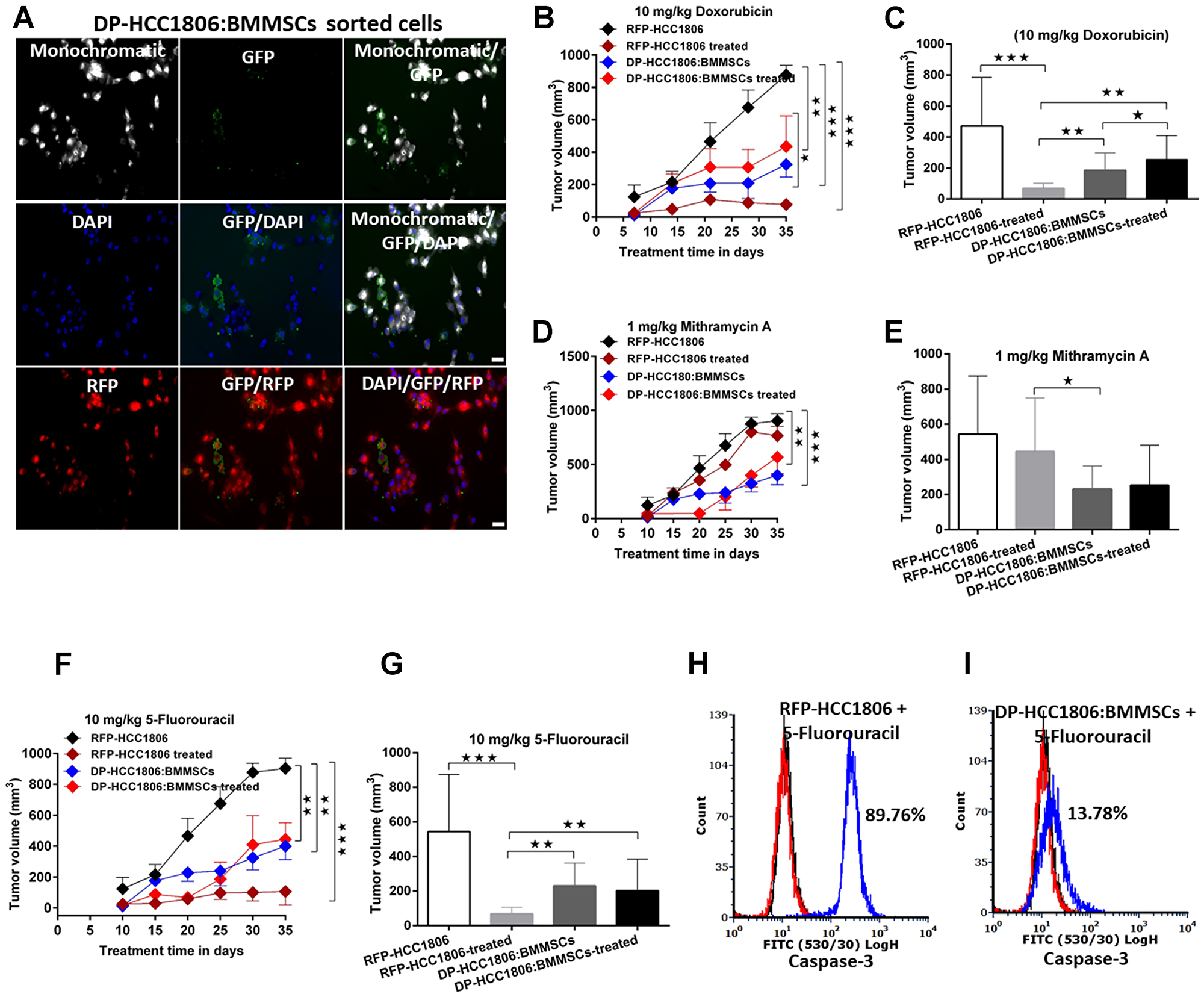 DP-HCC1806:BMMSC xenografts mediate chemotherapeutic resistance.