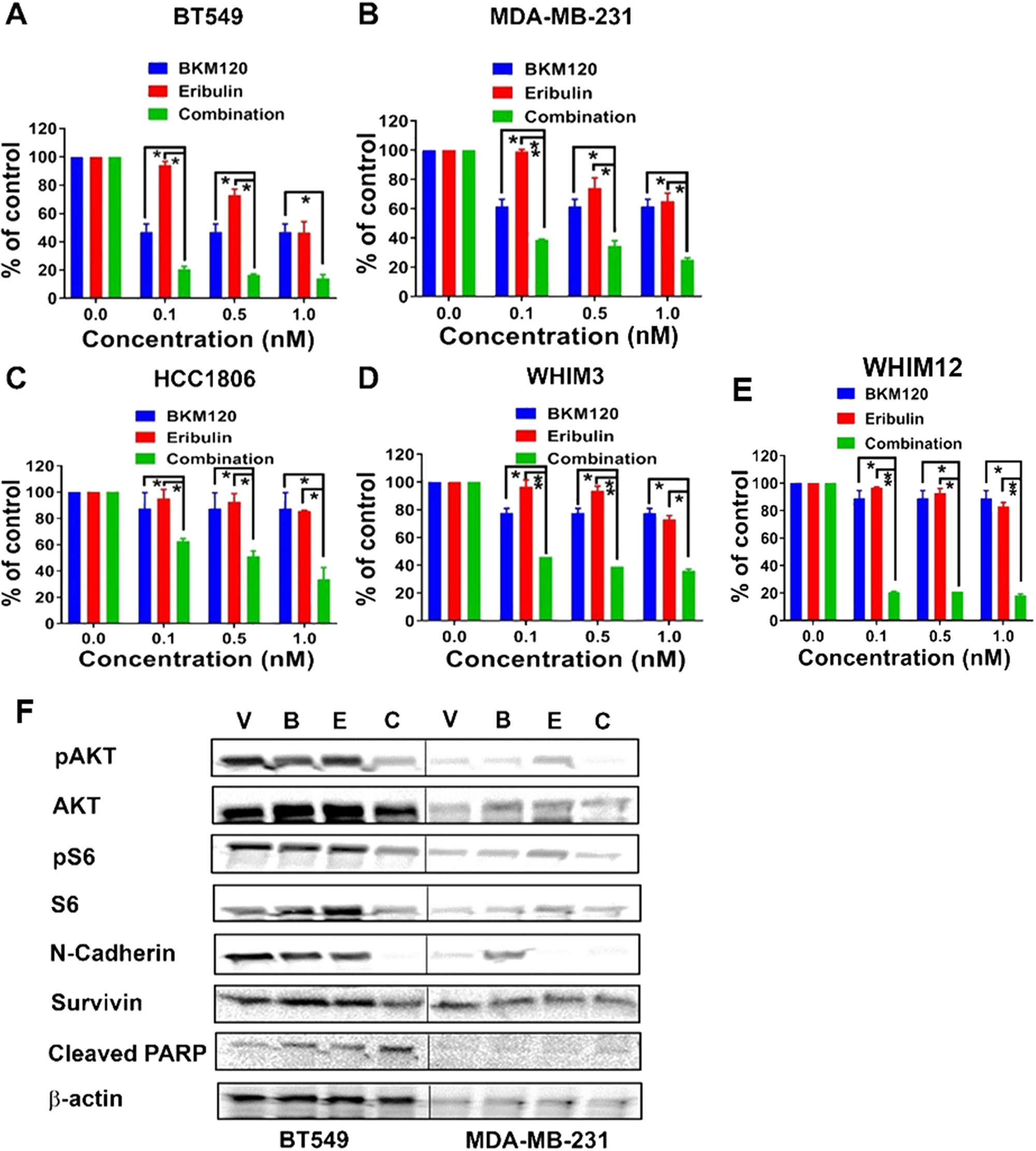 Eribulin in combination with BKM120 induces synergistic anti-tumor effect and target inhibition in TNBC cells in vitro.