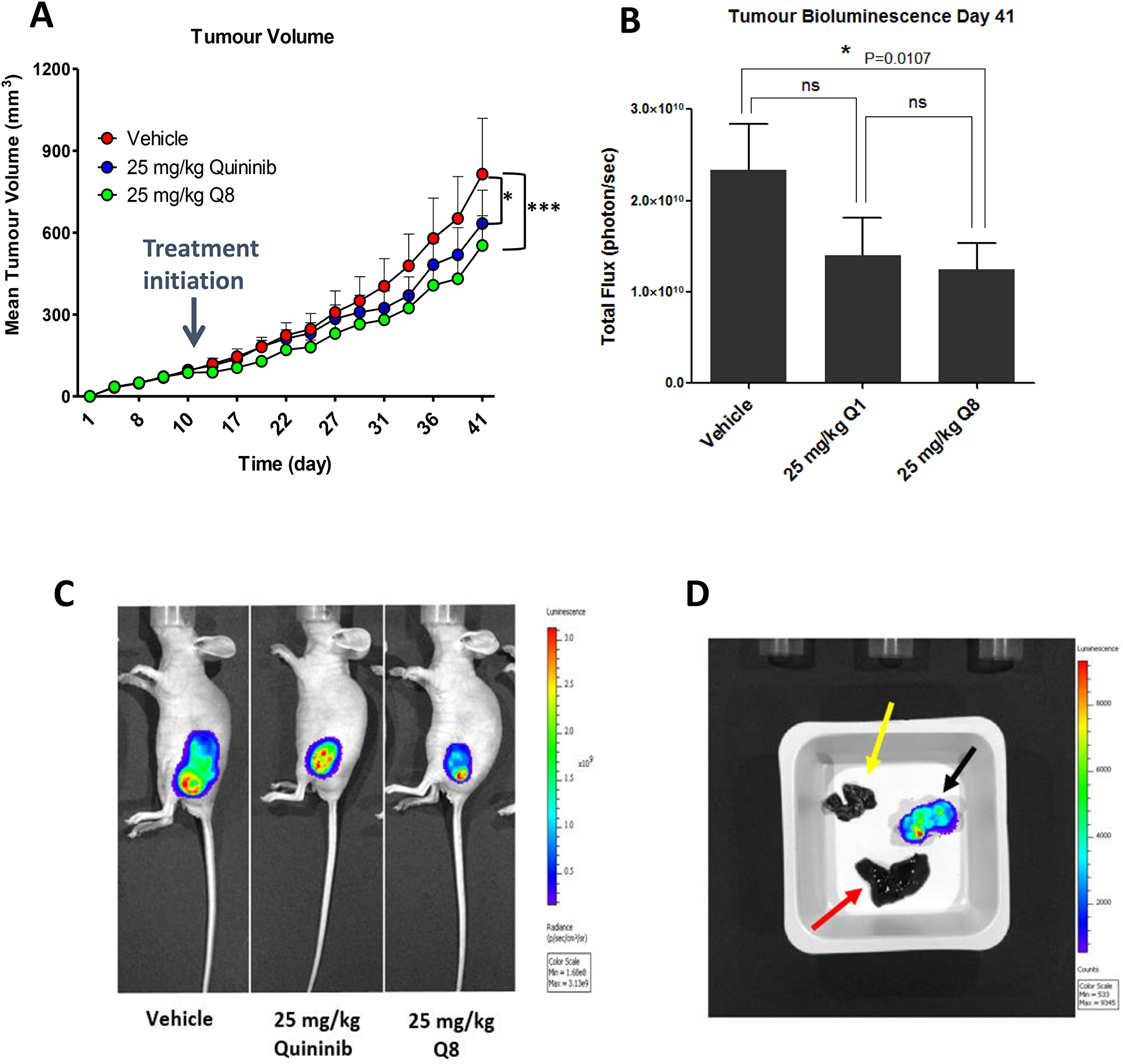 Q8 reduces tumour volume and bioluminescence in HT29-Luc2 xenografted mice.