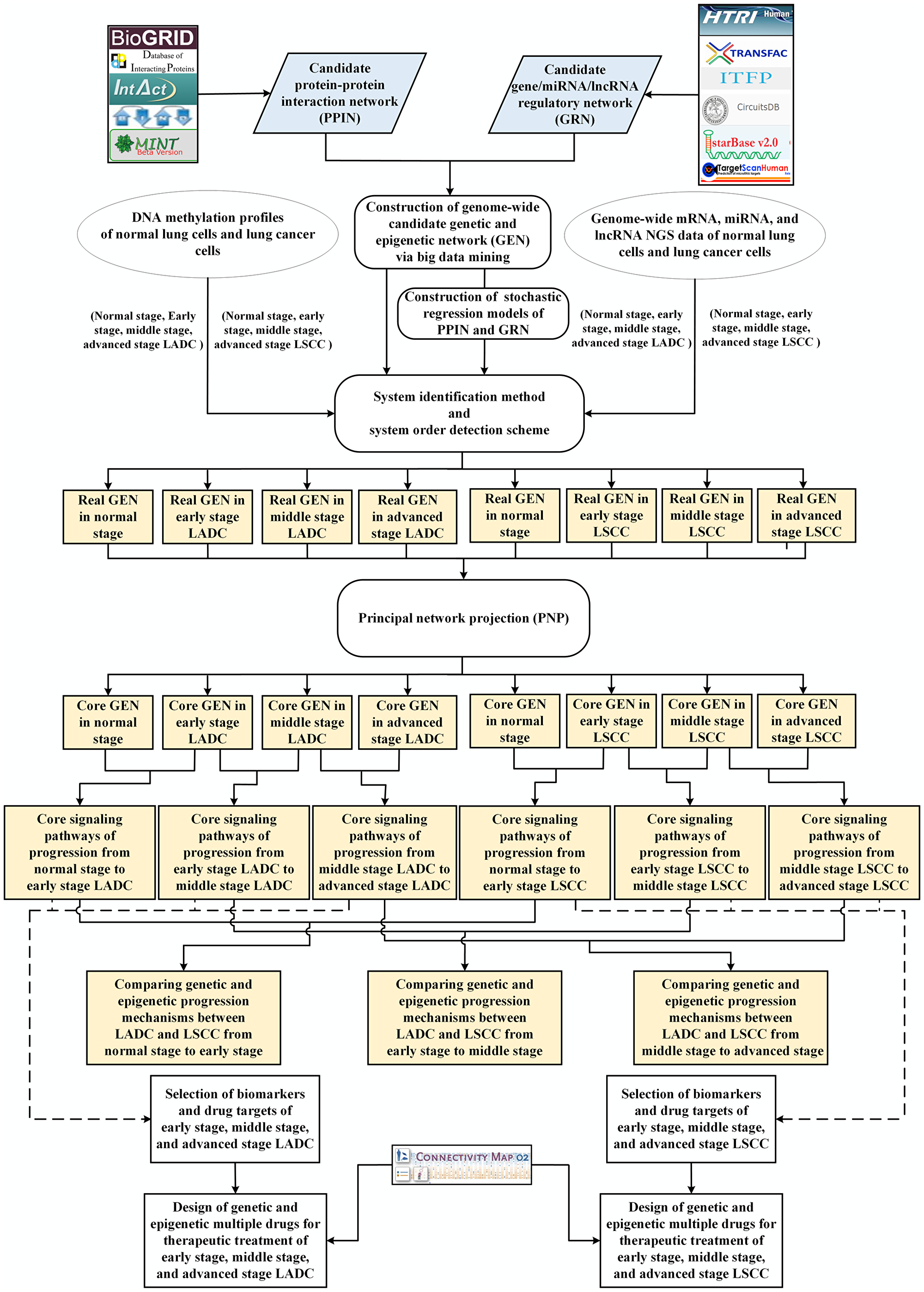 Flowchart of the construction for genome-wide GENS, core GENs, and core signaling pathways of each progression stage of LADC and LSCC and the discovery of potential genetic and epigenetic multiple drugs.