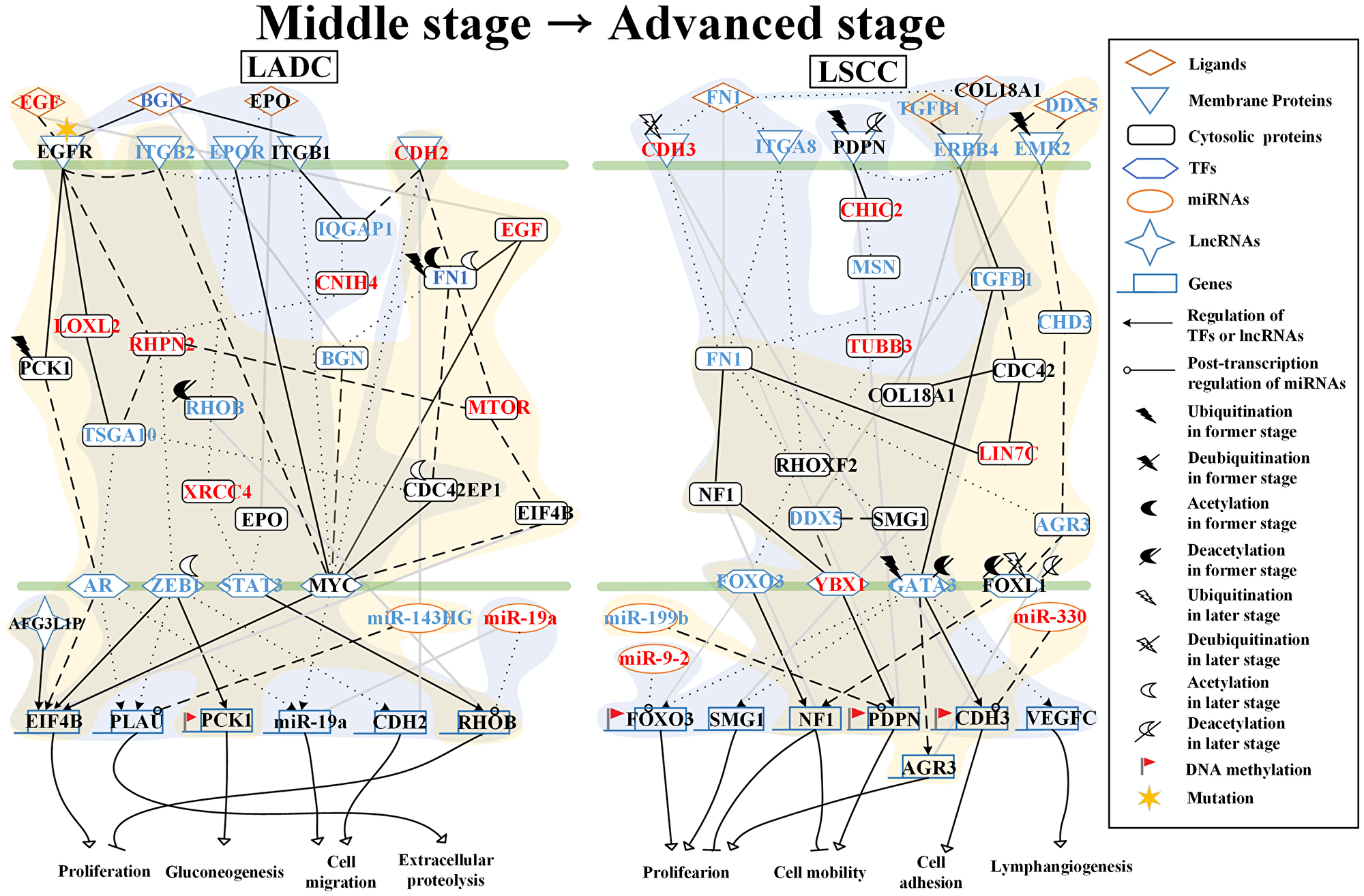 Core signaling pathways extracted from comparing genetic and epigenetic networks (GENs) between middle stage and advanced stage LADC and LSCC.