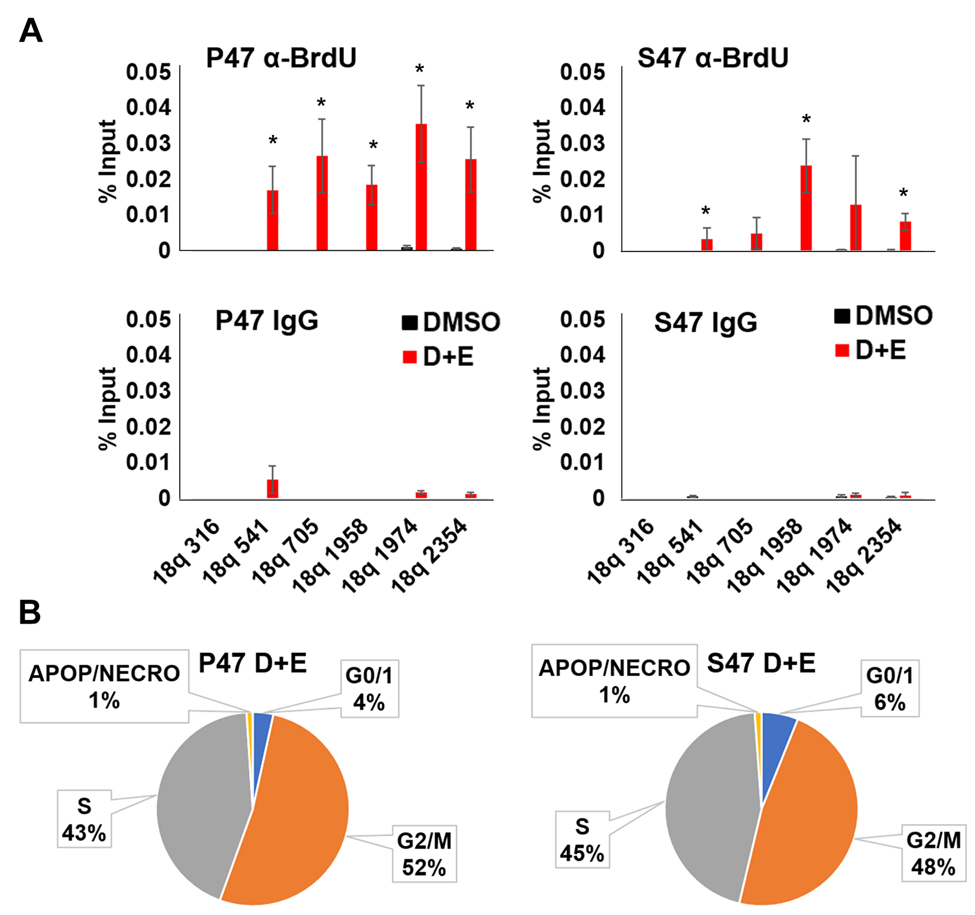 Human p53 S47 is deficient for telomeric DNA repair synthesis.