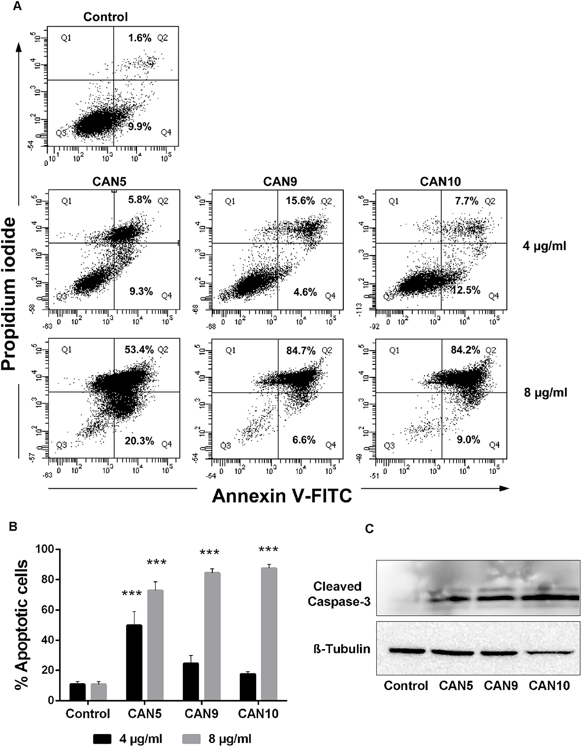 Proapoptotic effect of Cannabis extracts on cancer cells.