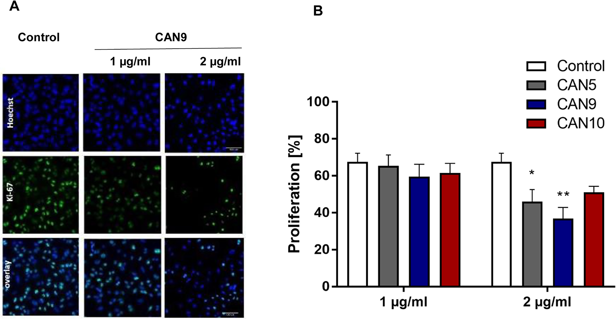 Anti-proliferative effect of Cannabis extracts on cancer cells.