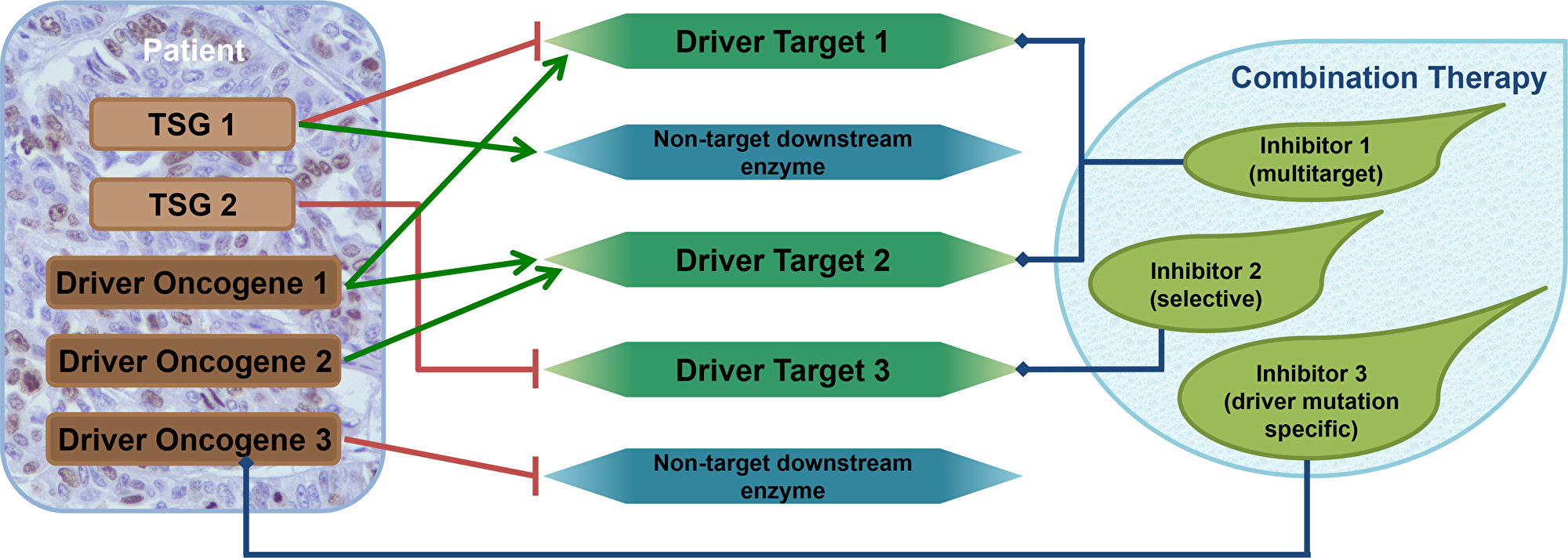 Combination therapy design using the driver gene concept