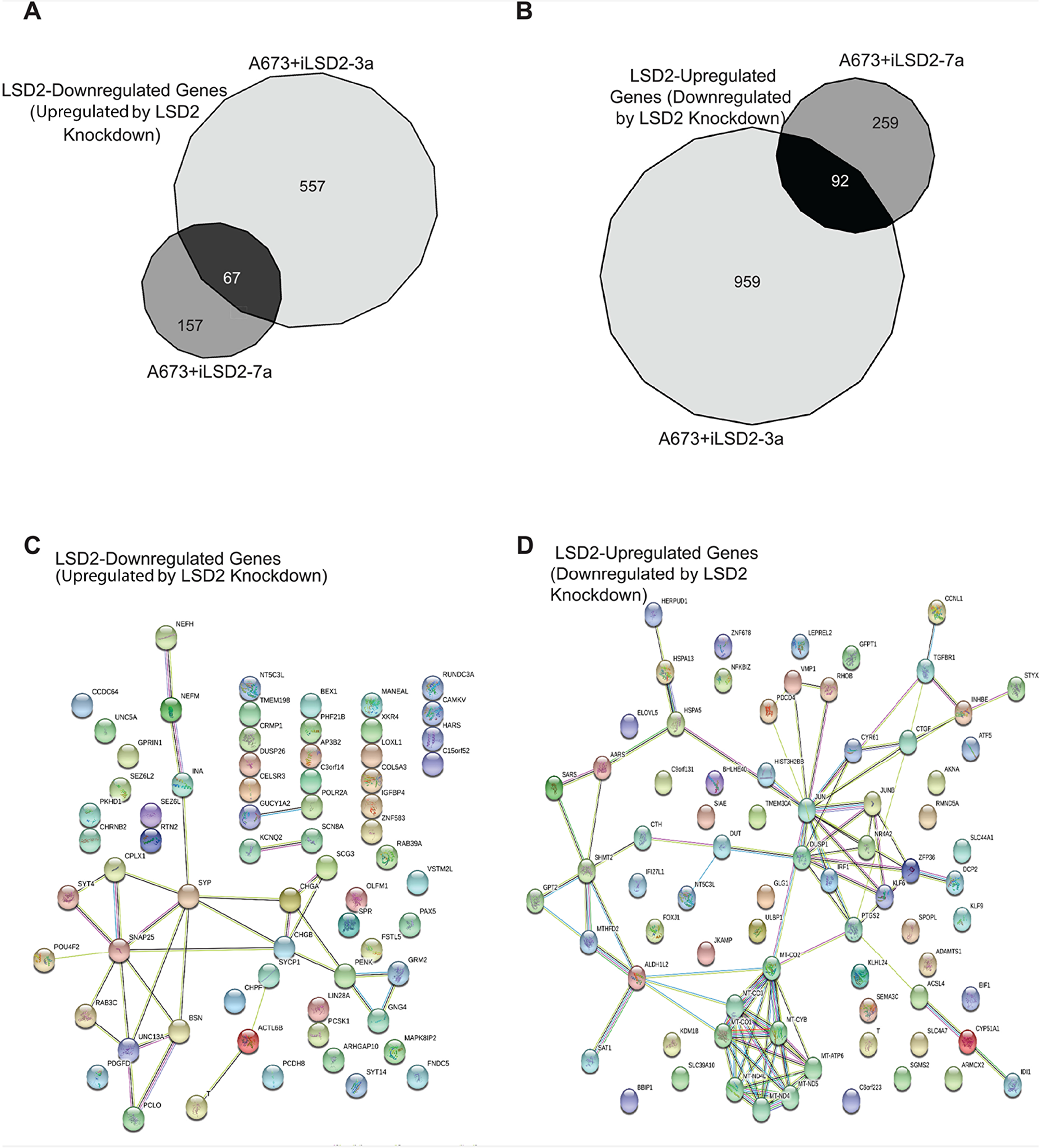 Core A673 LSD2 transcriptional profile.