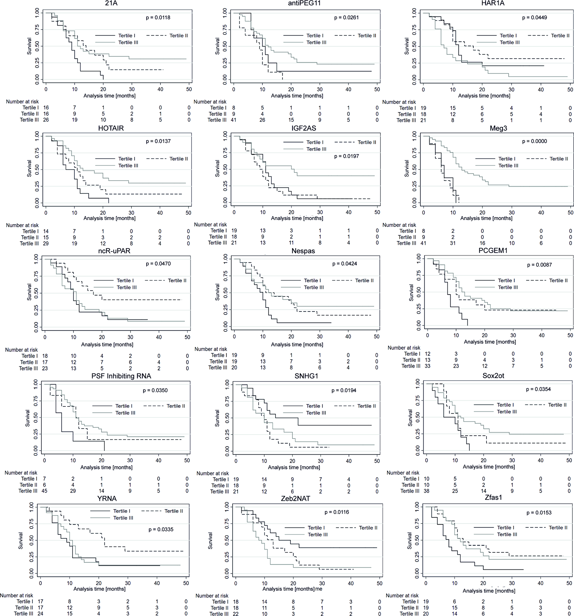 Progression-free survival probability curves of the three subgroups stratified based on low, medium and high expression of lncRNAs.