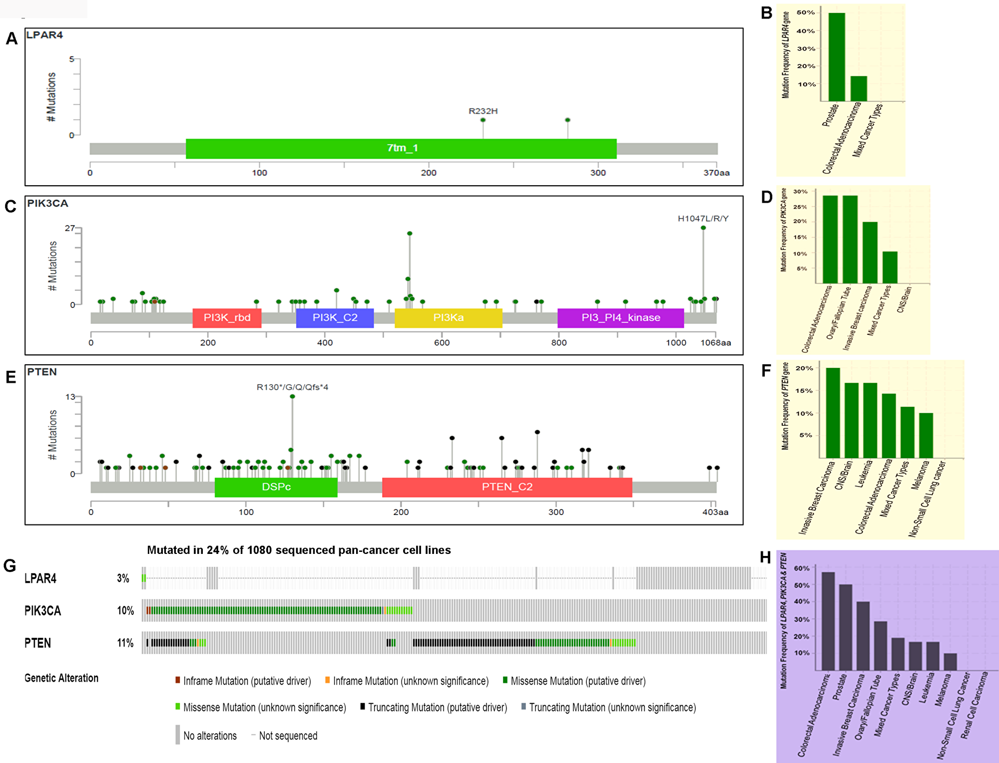 Prevalence of somatic mutations in genes of GPCR-mediated PI3K pathway in the pan-human cancer cell lines.