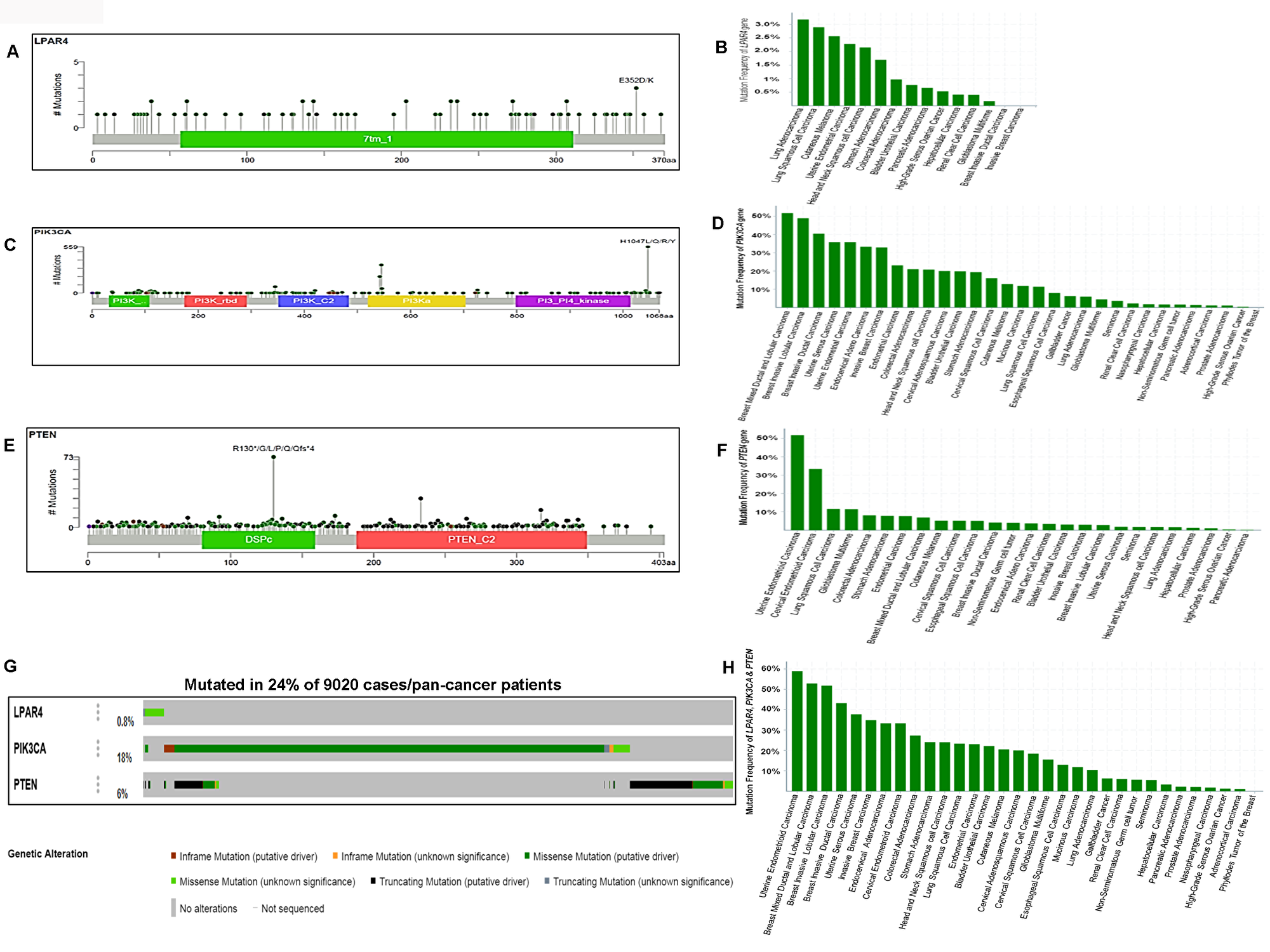 Somatic mutations of the GPCR-mediated PI3K pathway in pan-human cancers (solid tumors) and their association with patient survival.