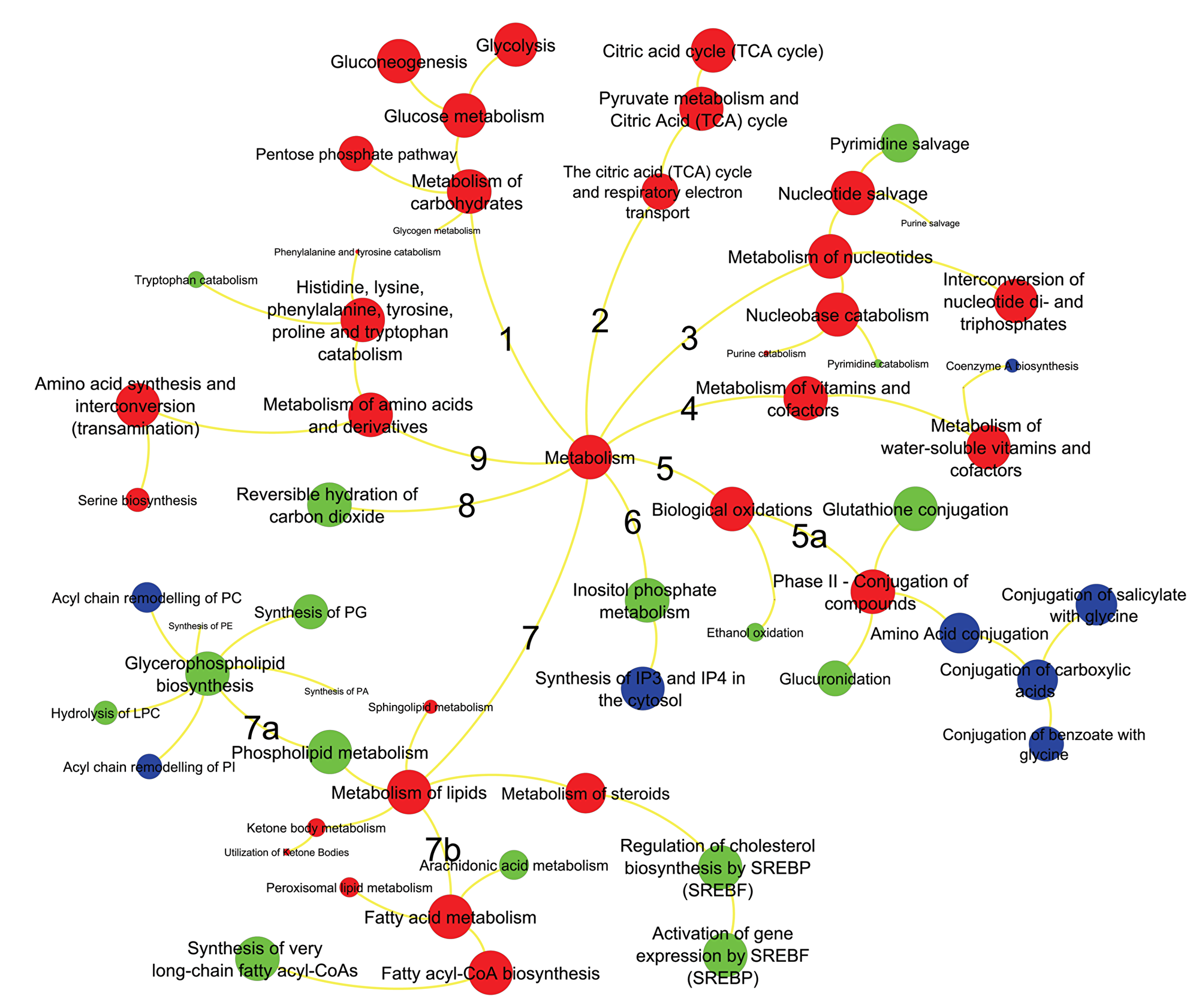 Metabolic pathways significantly enriched in ERneg breast tumors.