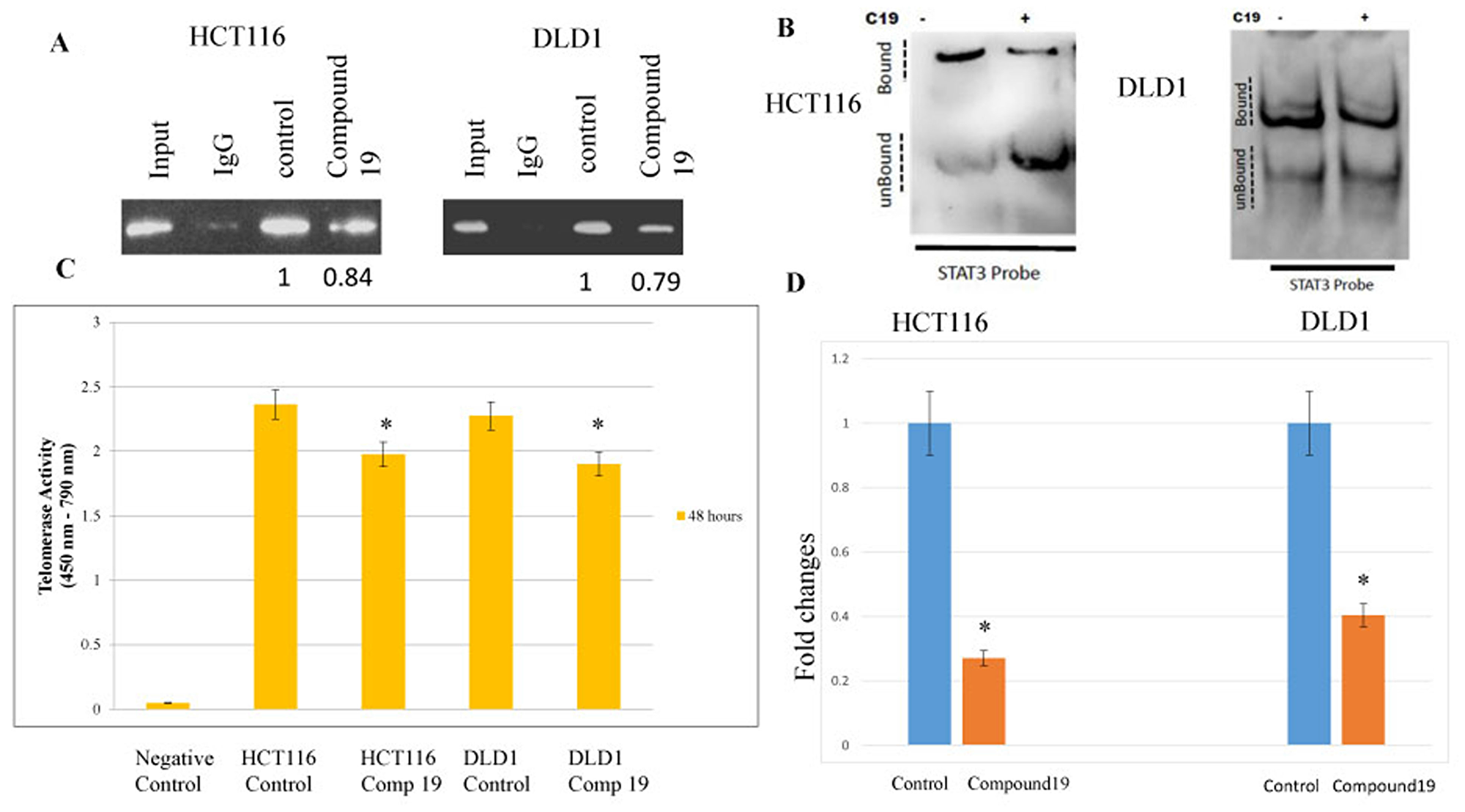 STAT3 binding to promoter region hTERT were inhibited by the compound 19 and corresponding telomerase activities were decreased and telomeric DNAs were shortened.