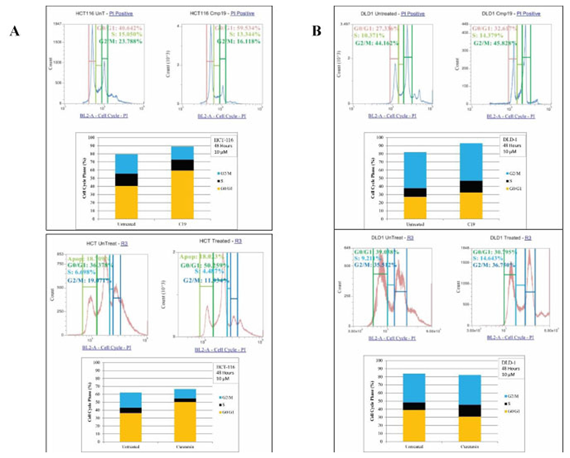FACS analysis of cell cycle of HCT116 and DLD1 treated with compound 19 (10 mM).