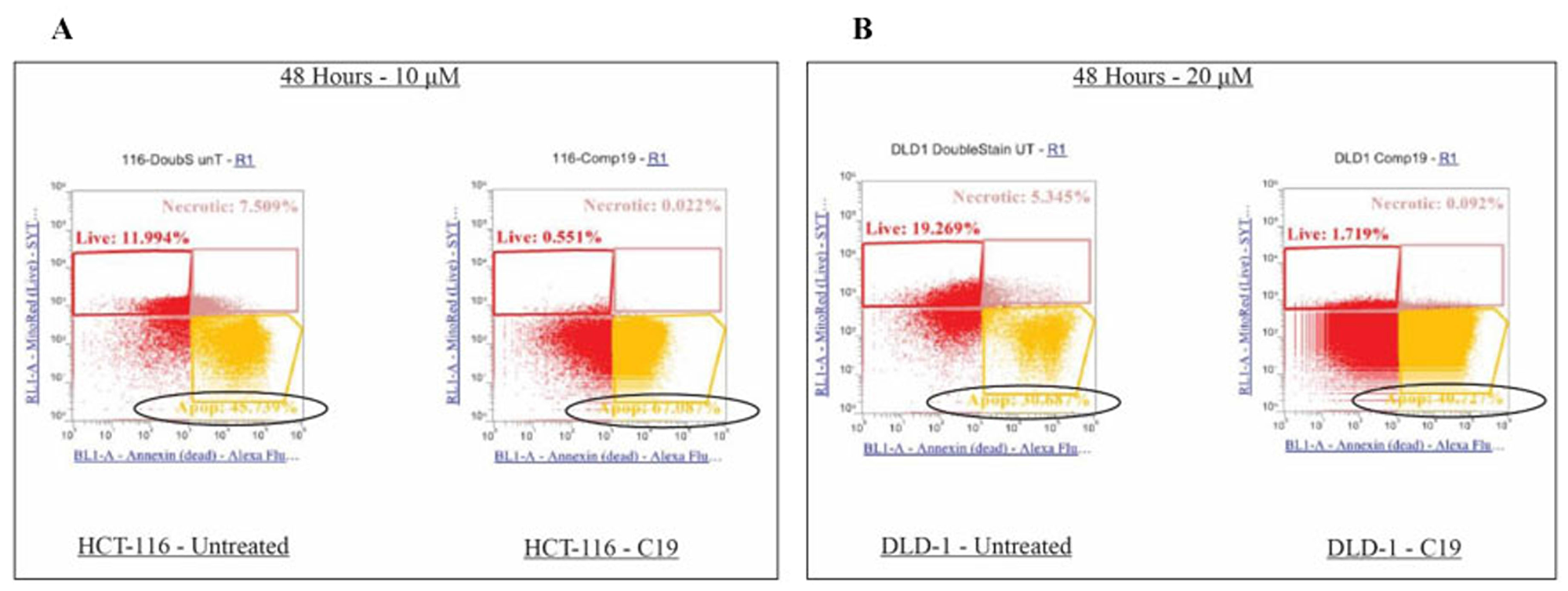 Effects on apoptosis upon compound 19 treatments in the colorectal cancer cell lines.