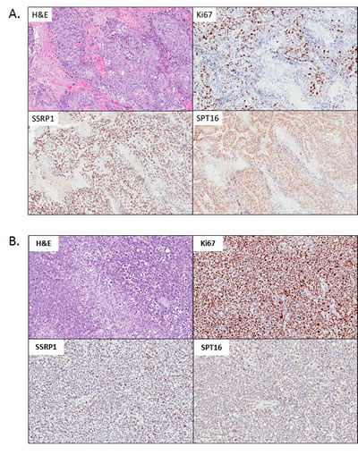 fig3
