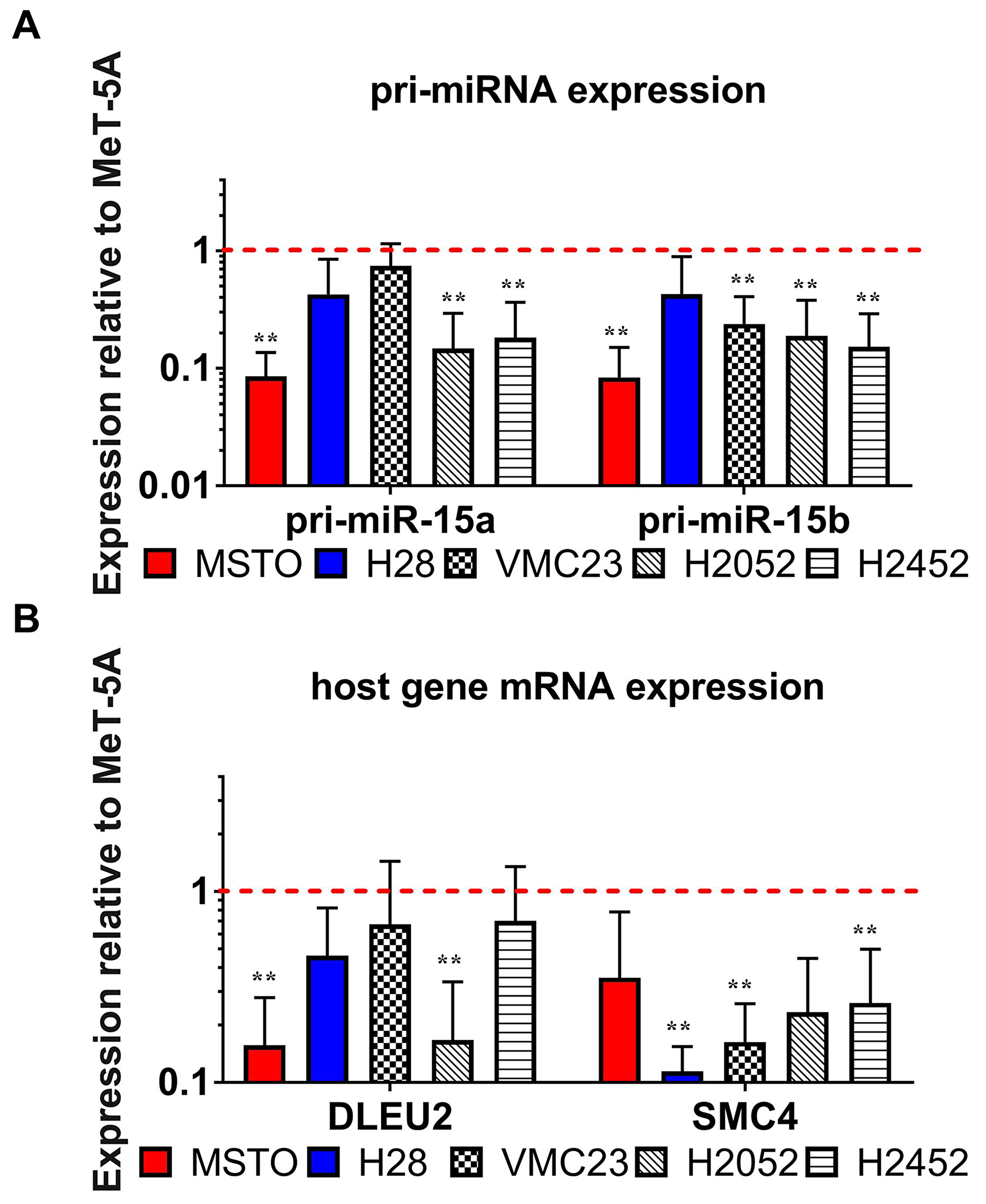 The pattern of expression of miRNA processing intermediates suggest a defect in the transcription of miR-15/16 primary transcripts