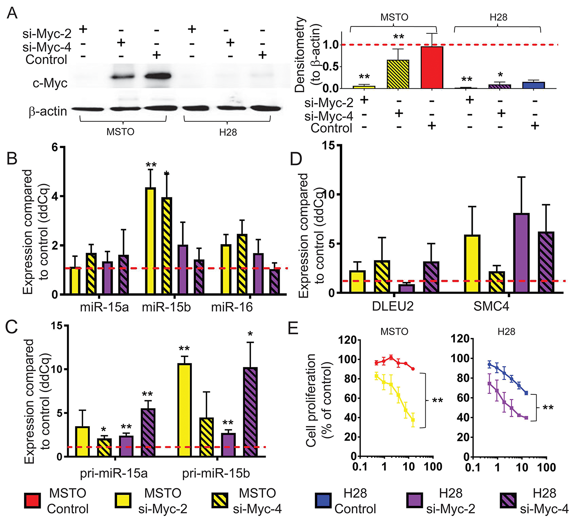 Myc knockdown causes an upregulation of mature miR-15b/16-2 expression and its processing intermediates and inhibits cell growth
