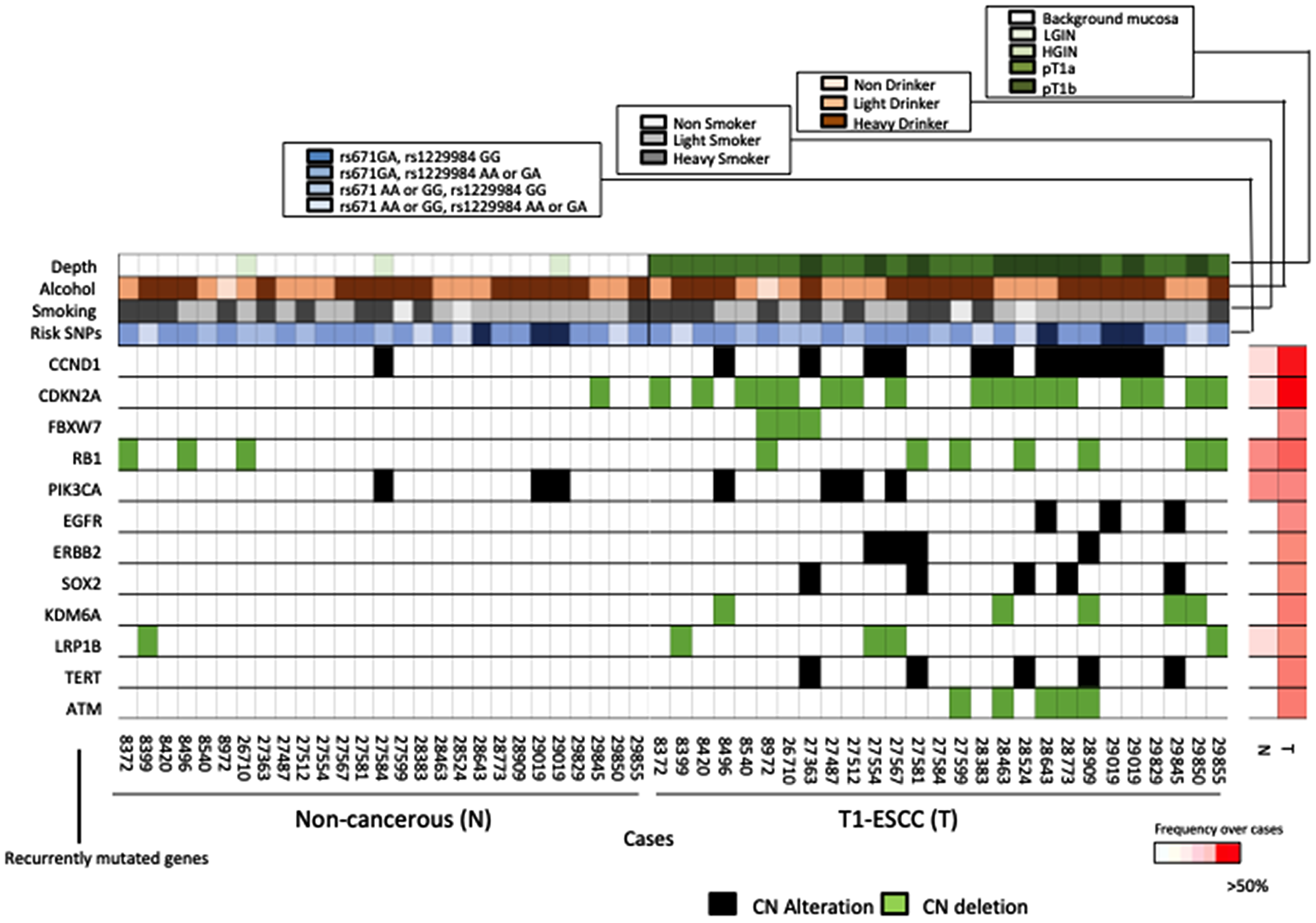 Comparison of the key alterations in non-cancerous tissues and ESCCs.