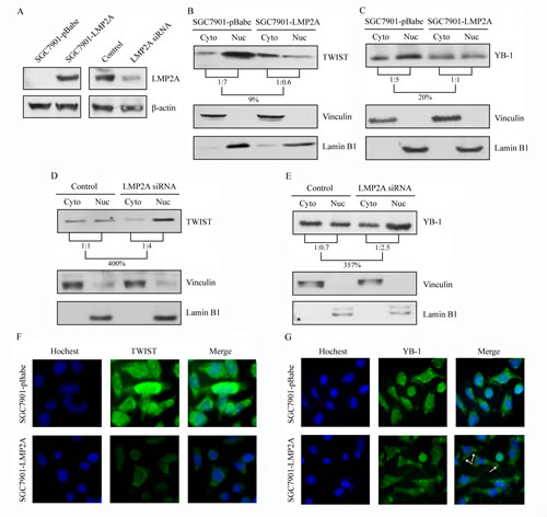 fig3