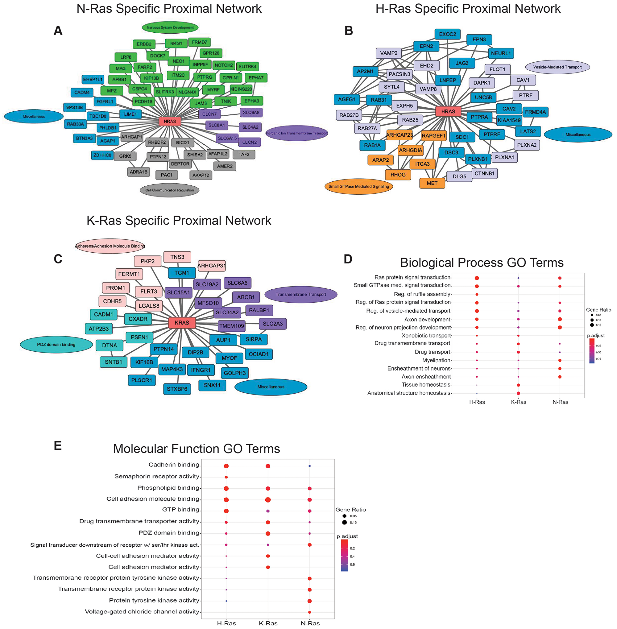 Ras isoform specific proximal proteome networks