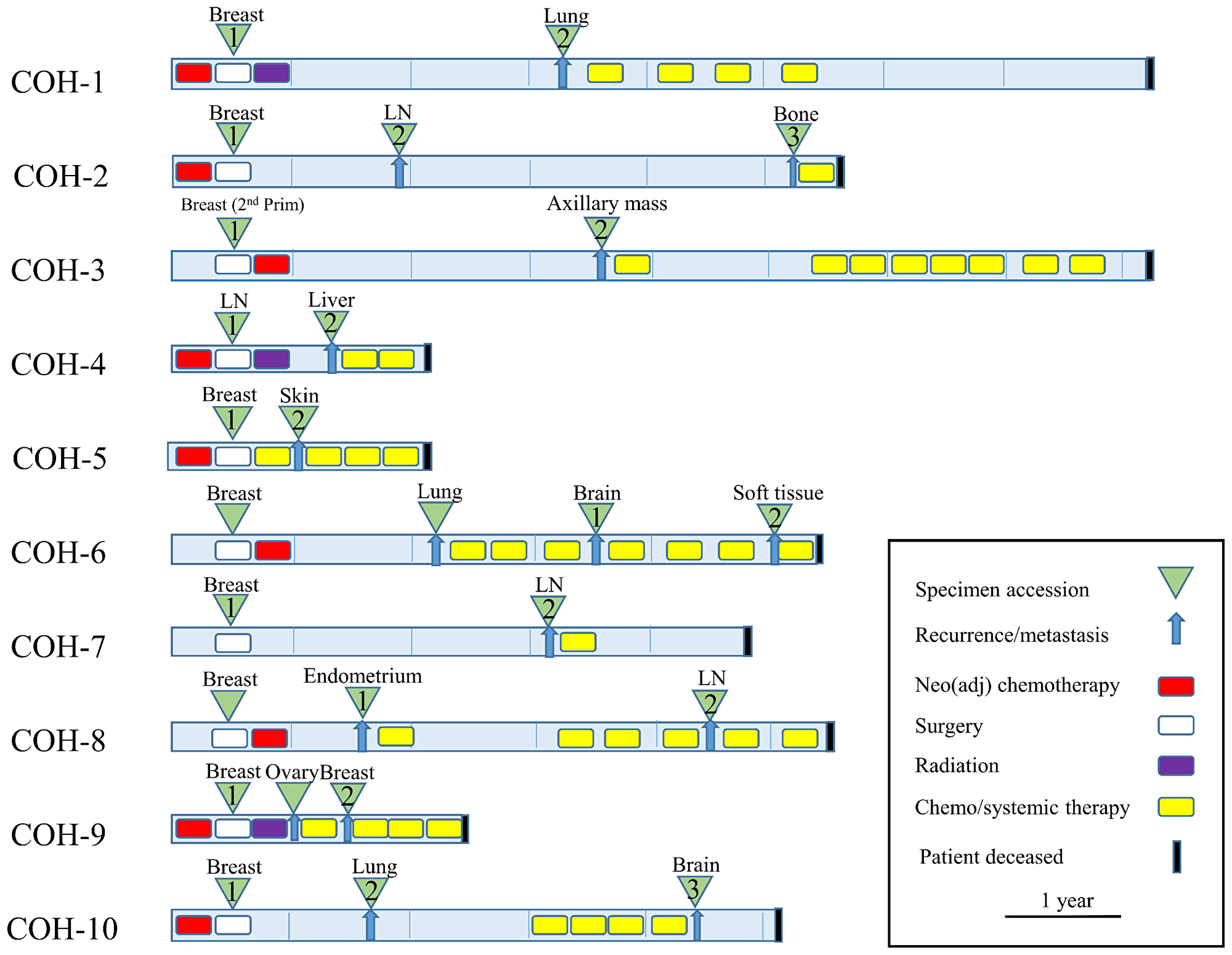 Clinical synopsis of treatment paradigm (N = 10 patients).
