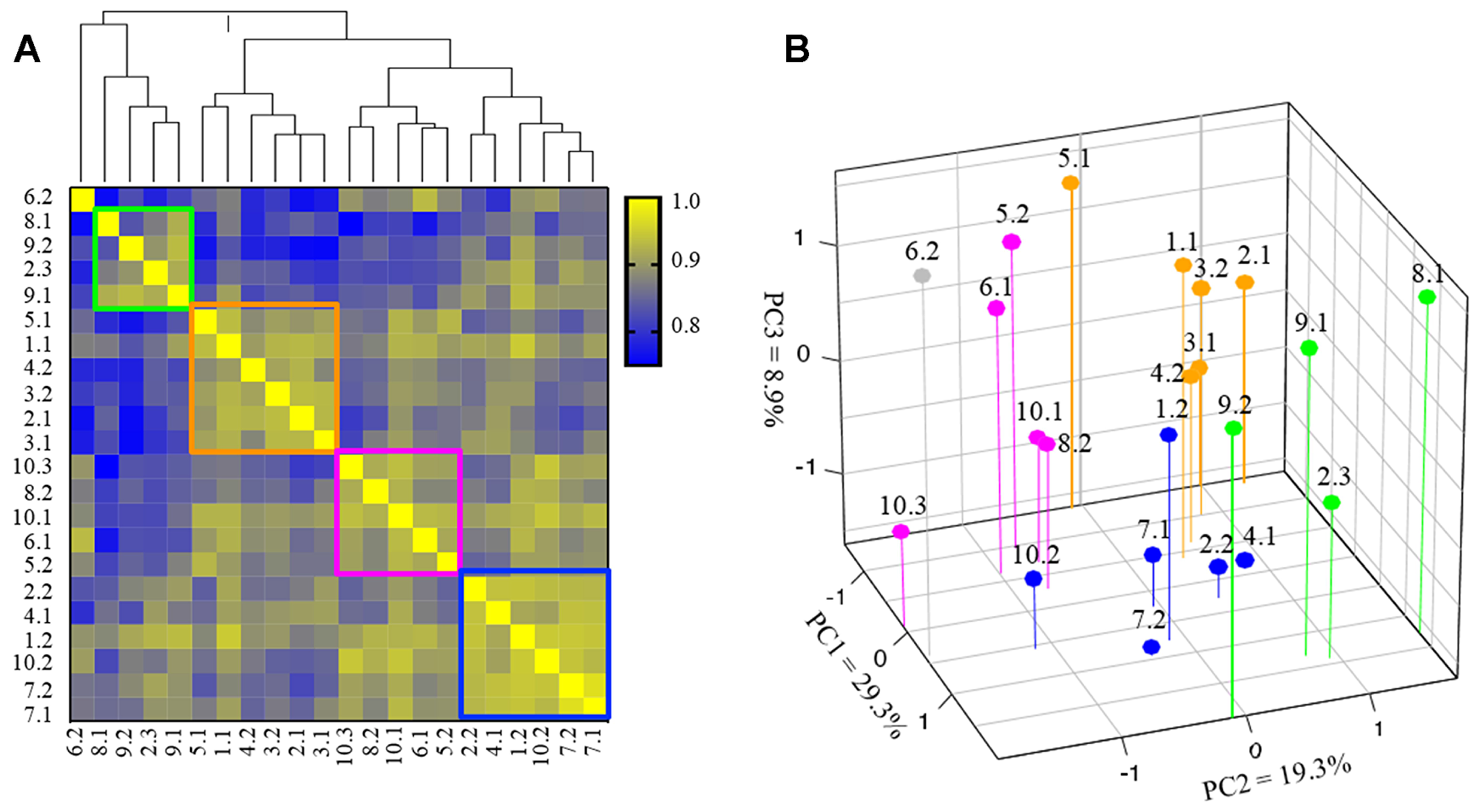 Subgroup clustering of PI3 kinase (PI3K) pathway genes (N = 22 specimens).