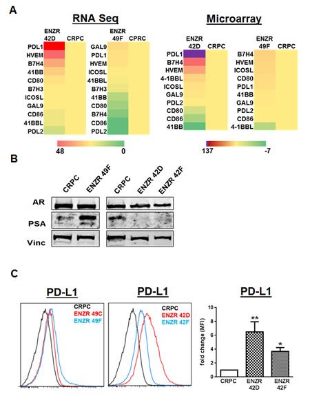 fig2